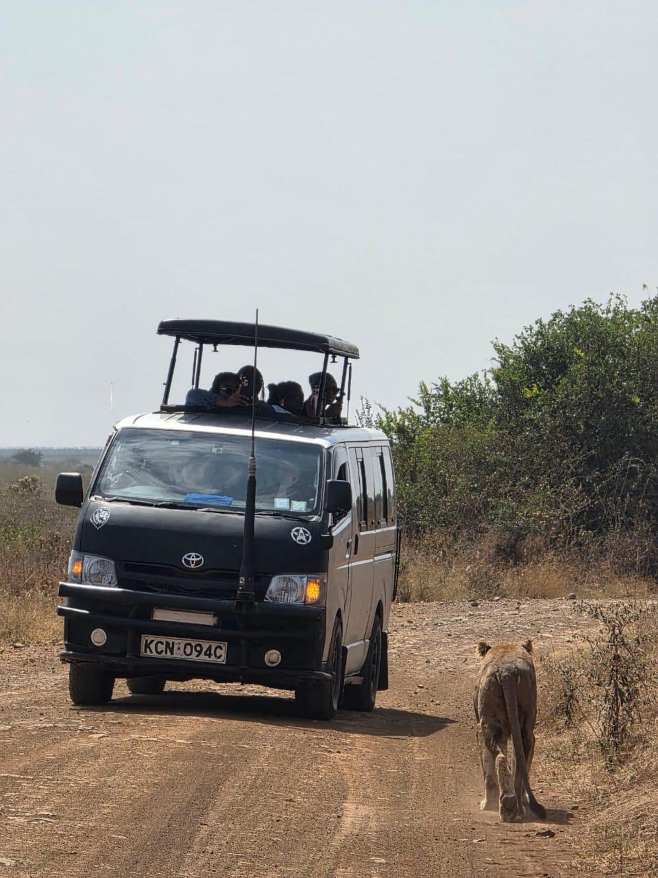 Nairobi National Park 5-Hour 4x4 Wildlife Safari