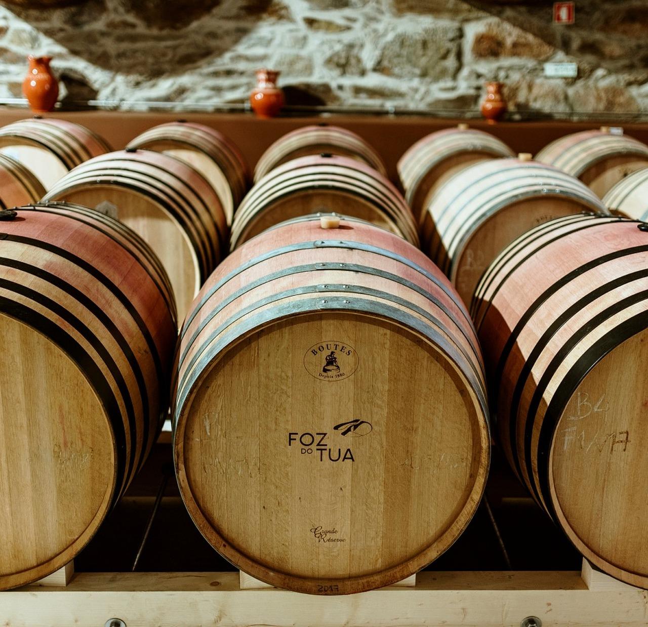 Douro Valley Private Wine Tour: Two Exclusive Family Quintas
