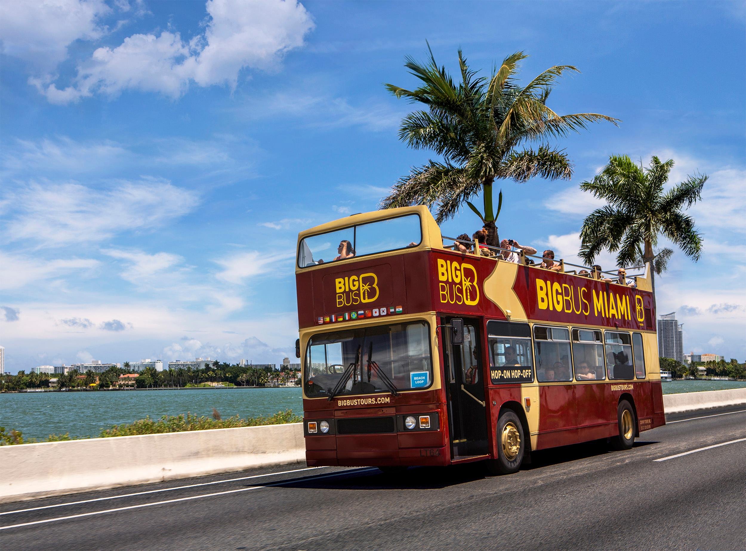 Miami Ultimate 3-in-1: Everglades, Bay Cruise & City Bus