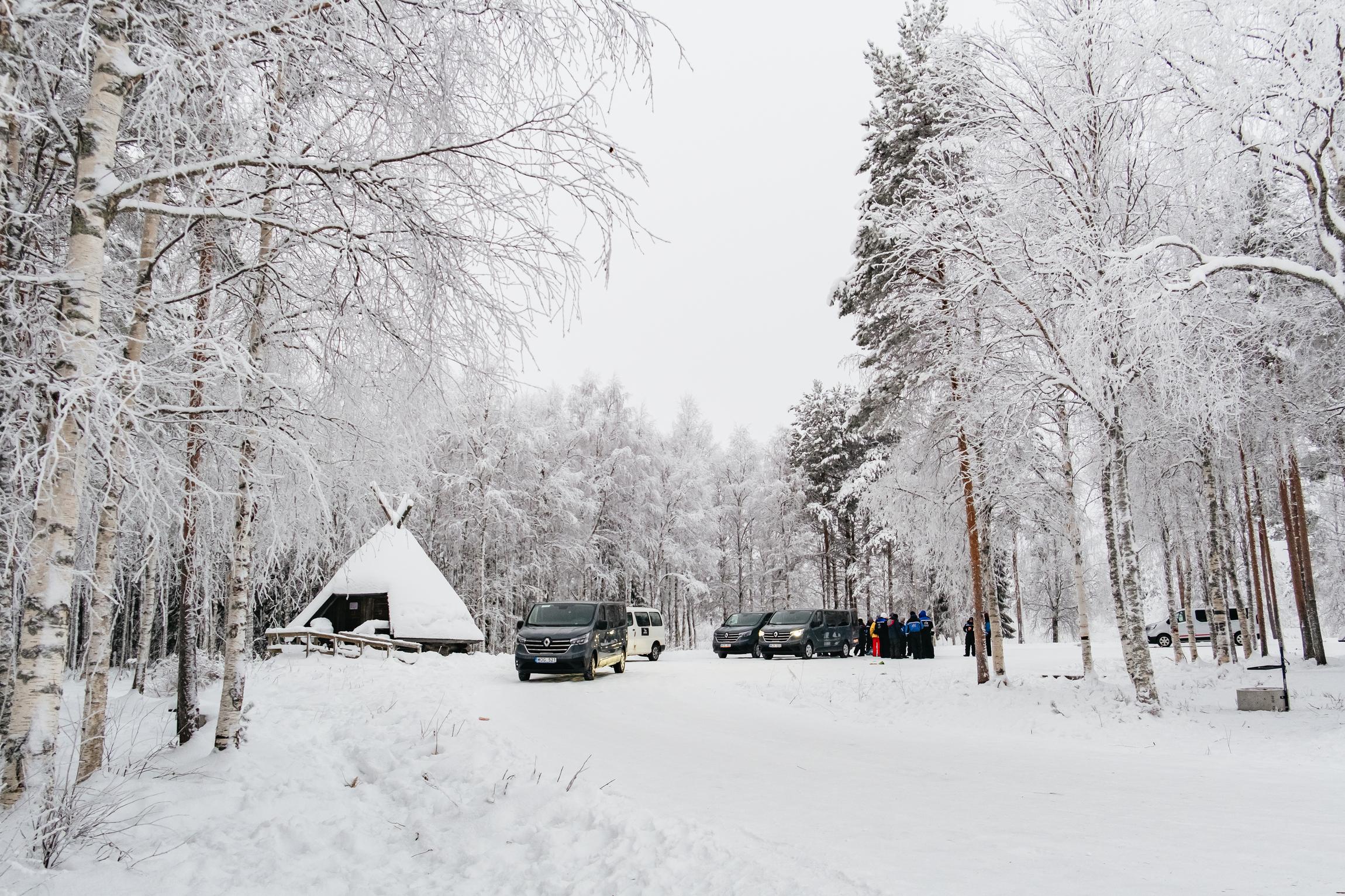 Rovaniemi Snowmobile Safari & Arctic Wildlife Day Tour