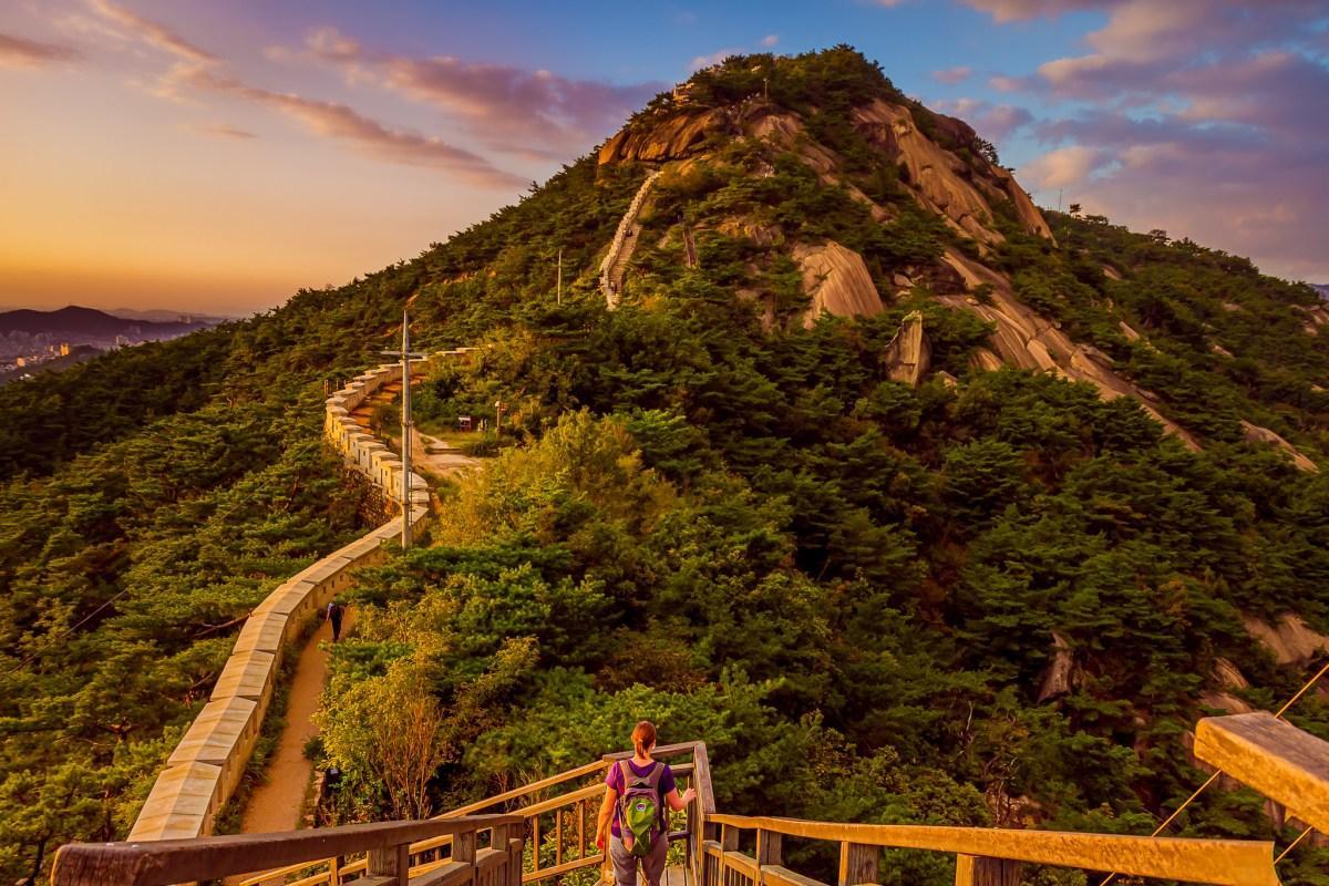 Private Seoul Evening Tour with Panoramic City Views