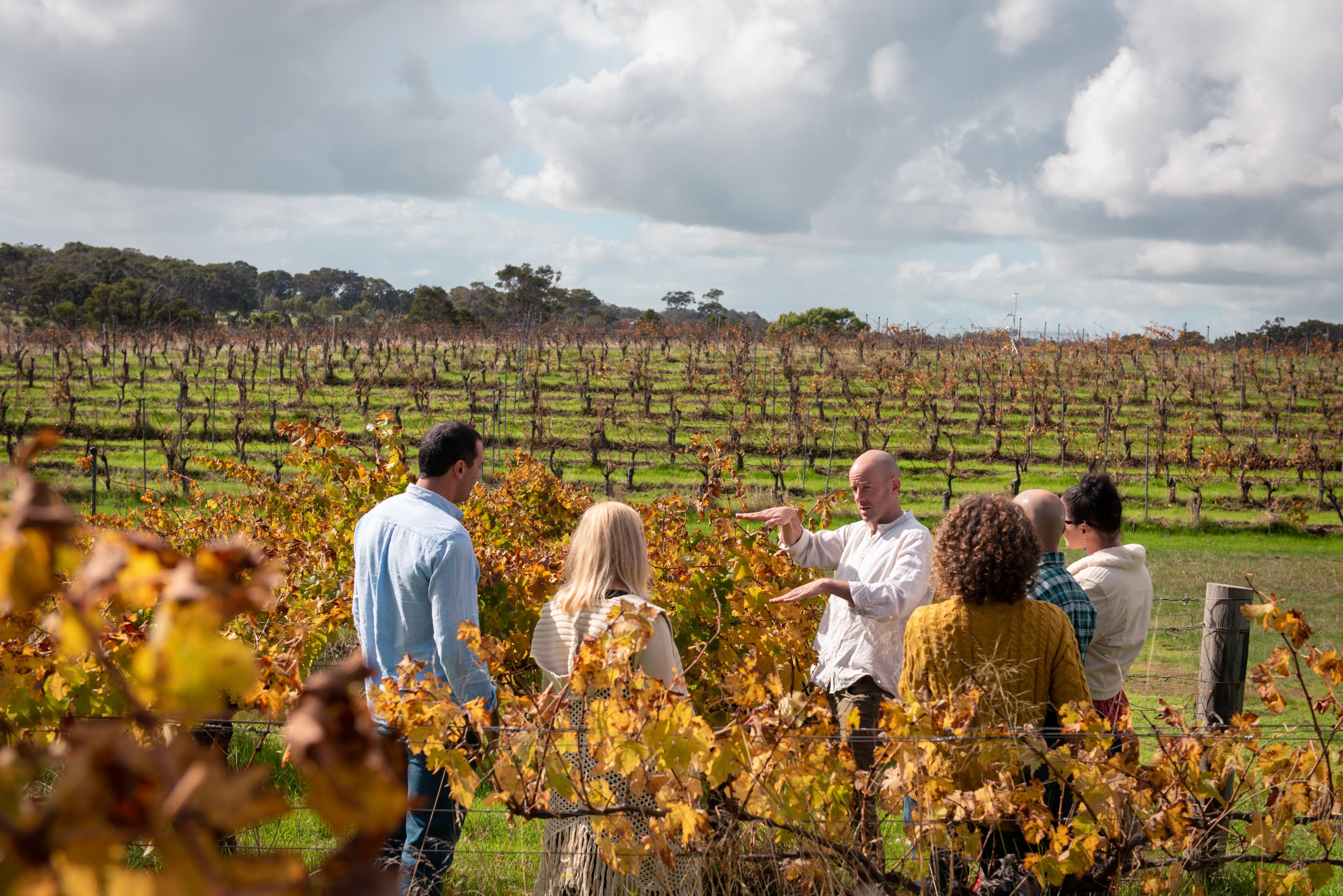 Margaret River wine tour — image 5