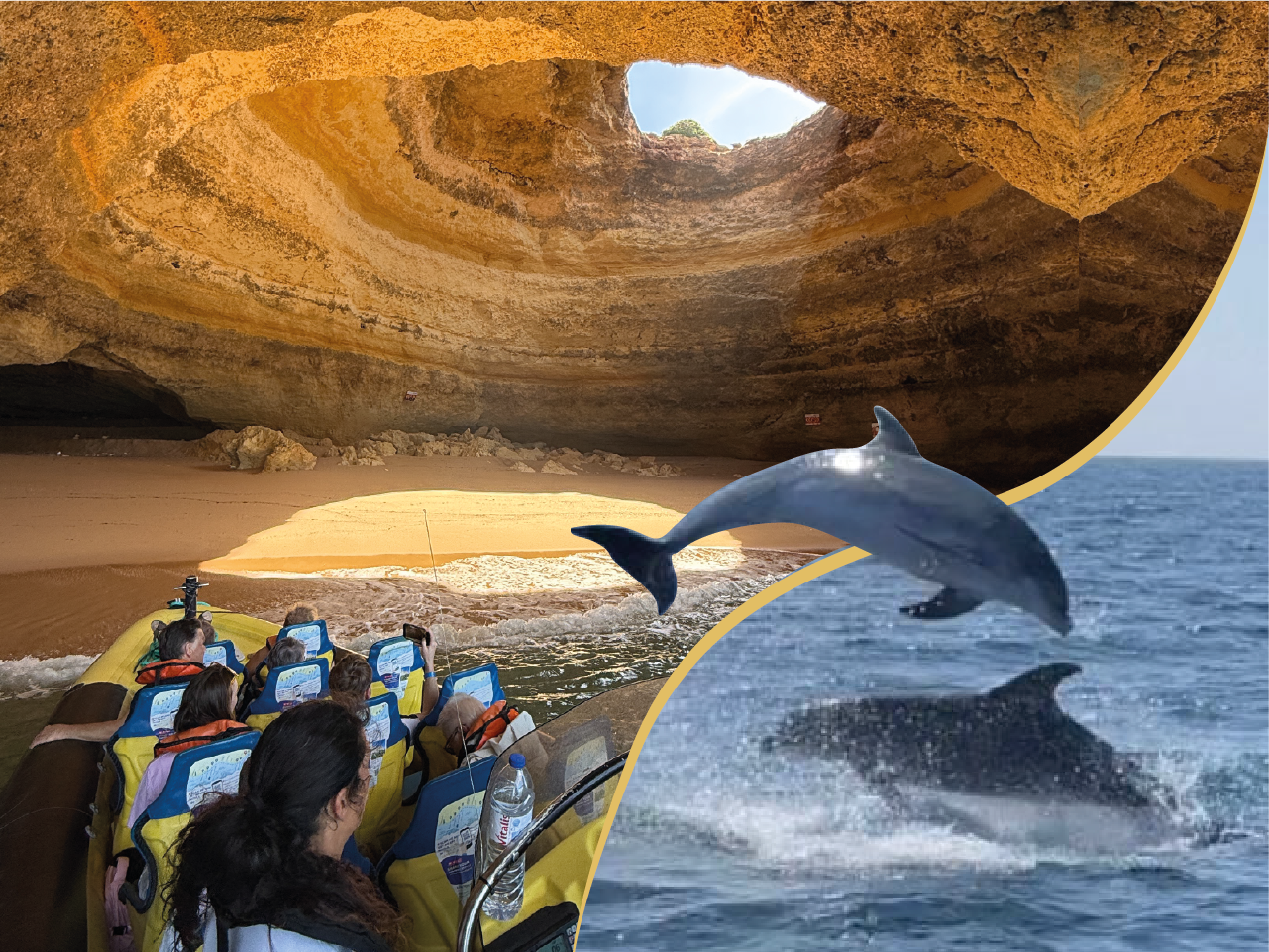 Albufeira: Benagil Caves & Dolphin Watching Speed Boat Tour