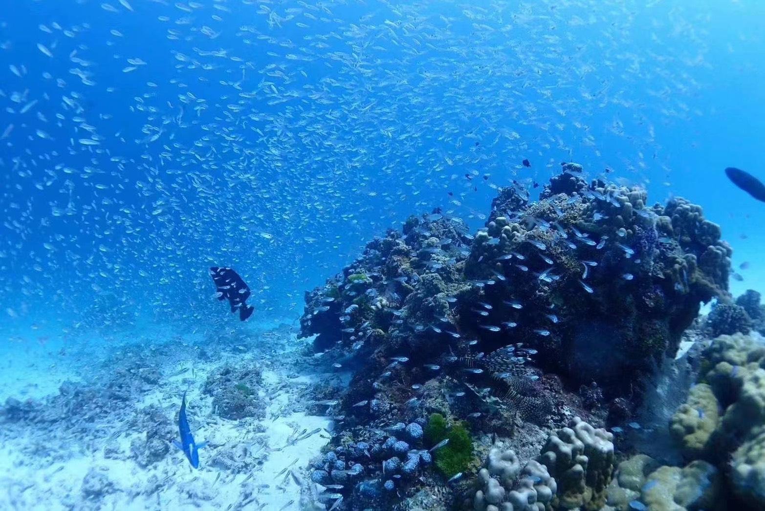 Phuket: Coral & Racha Island Catamaran Sunset Cruise