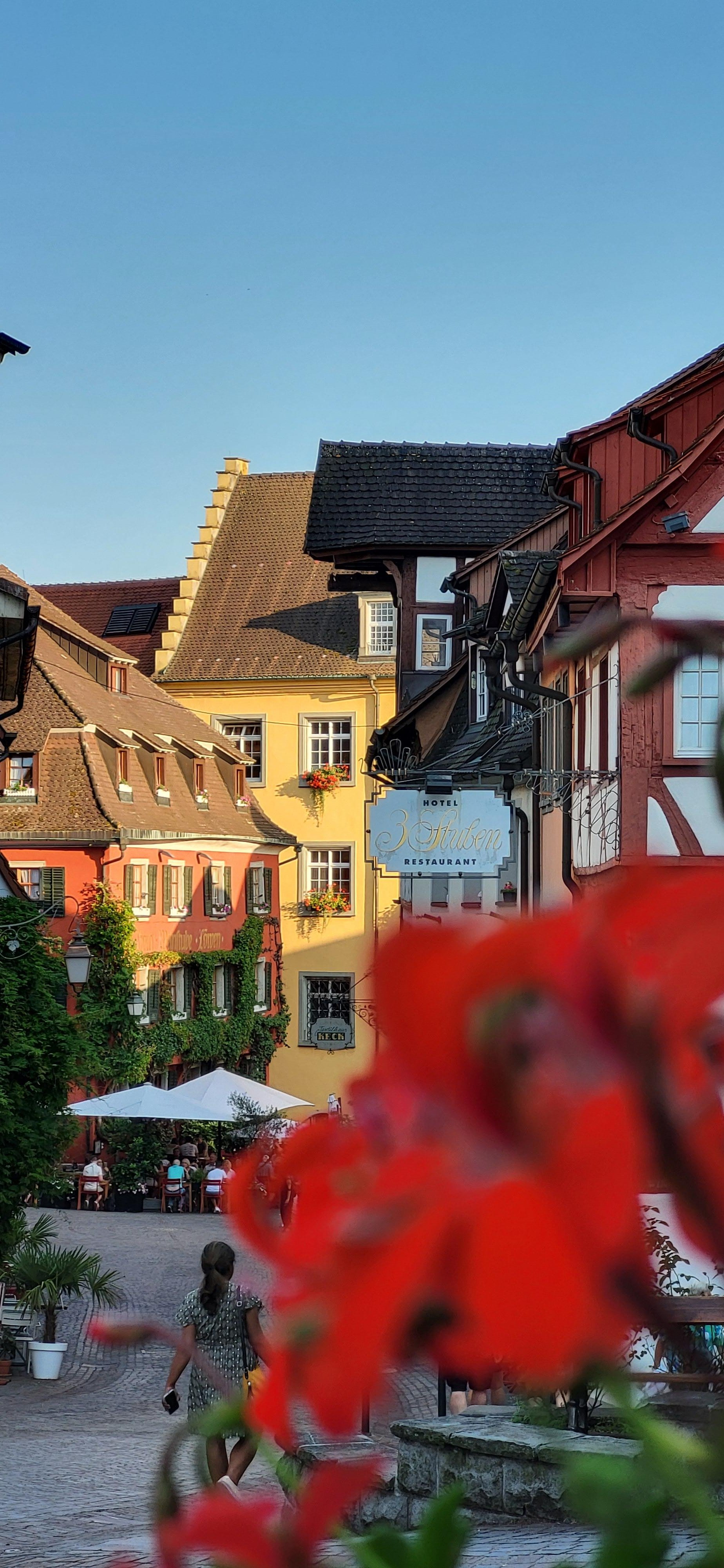 Fähre Meersburg Weinverkostung