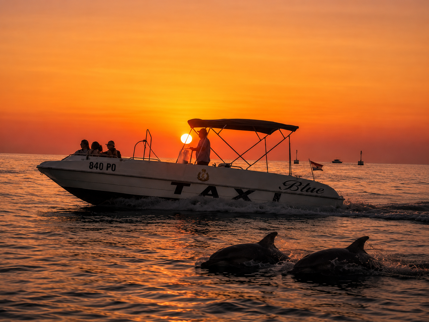 Poreč Dolphin-Watching Speedboat Excursion