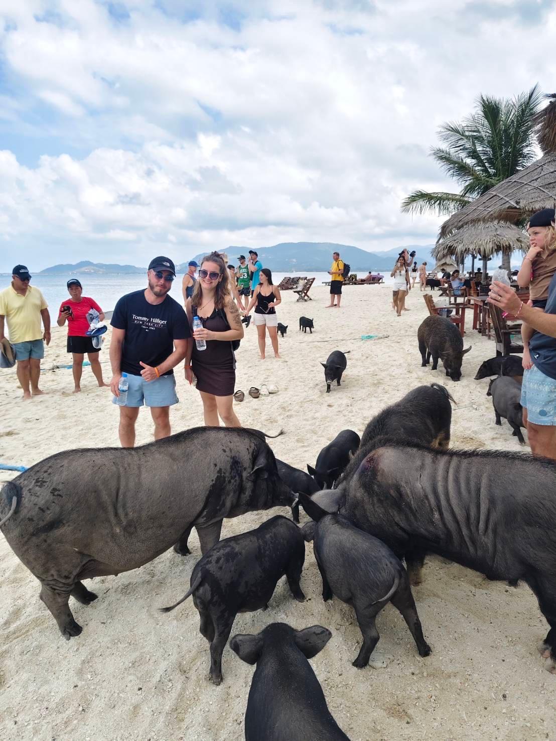 Pig Island & Koh Tan Snorkeling Adventure with Optional Viewpoint Trek
