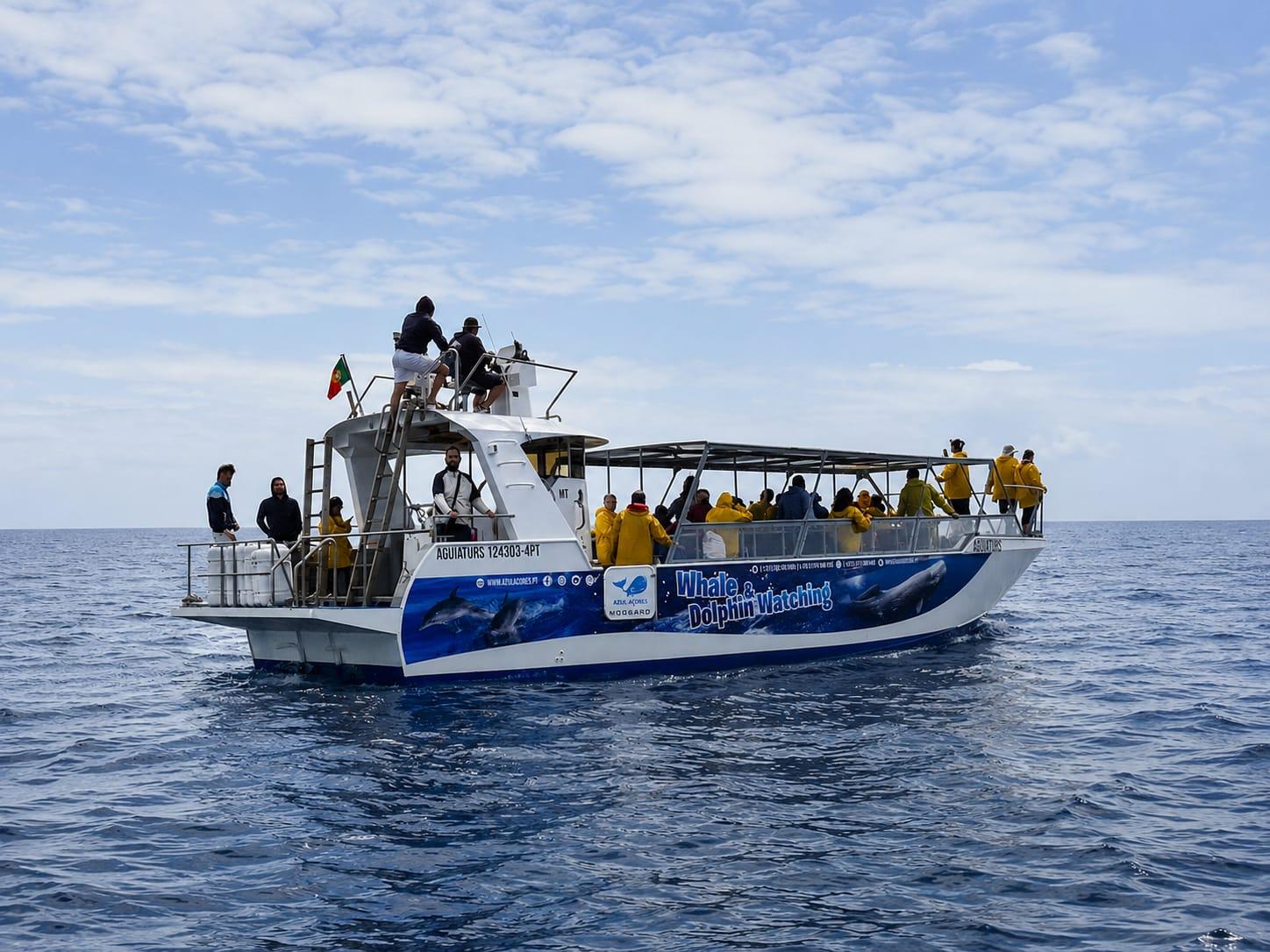 Pico Island Ocean Adventure: Whale & Dolphin Watching from Lajes