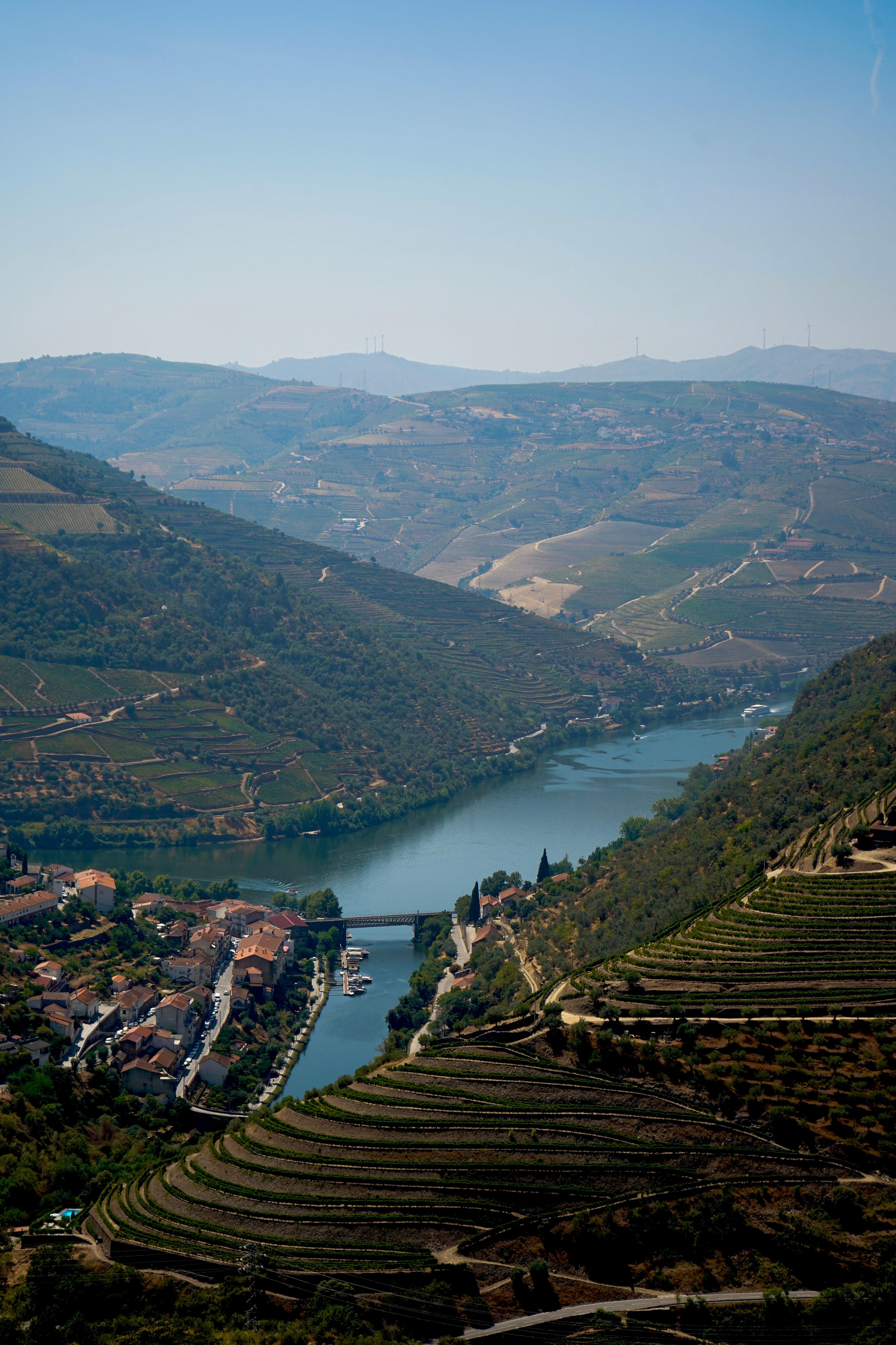 Douro Valley Wine & Boat Experience from Porto