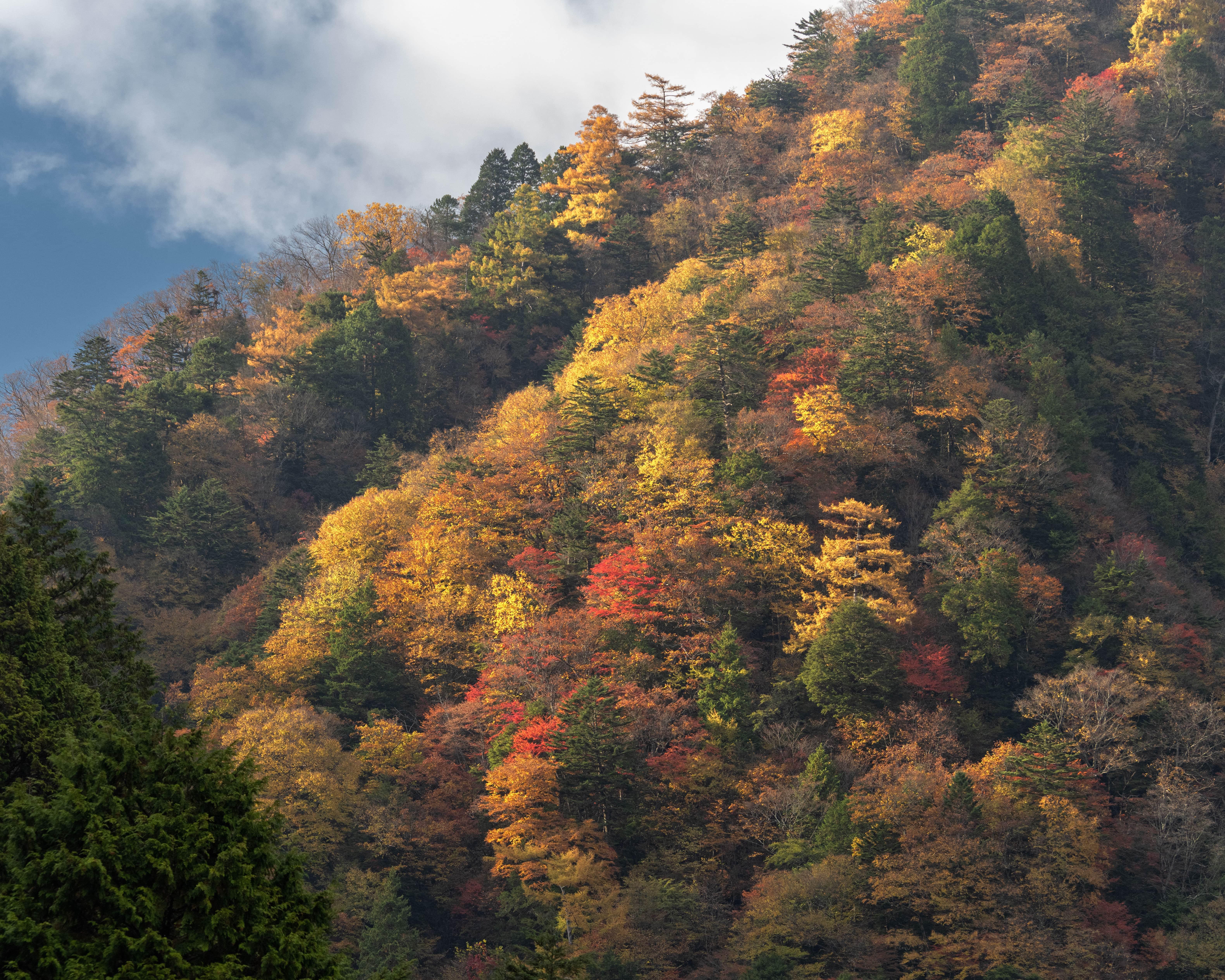 From Tokyo: Private Tour to Fuji/Hakone - Onsen, Art, Nature — Japanese onsen experience photo 27