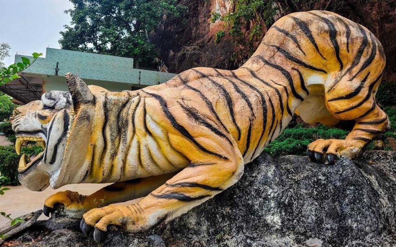 Krabi Jungle Day Tour: Hot Springs, Emerald Pool & Tiger Cave Temple