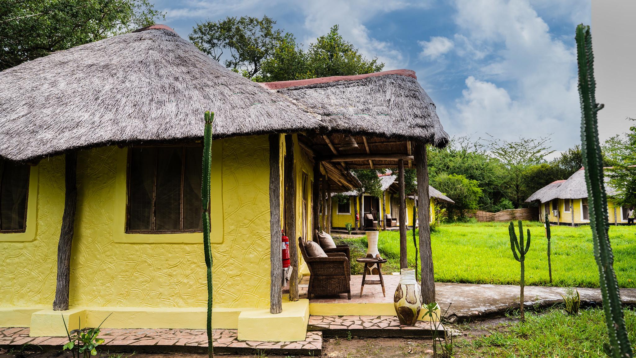 Zanzibar to Selous: 2-Day Safari with Flights & Bush Lunch