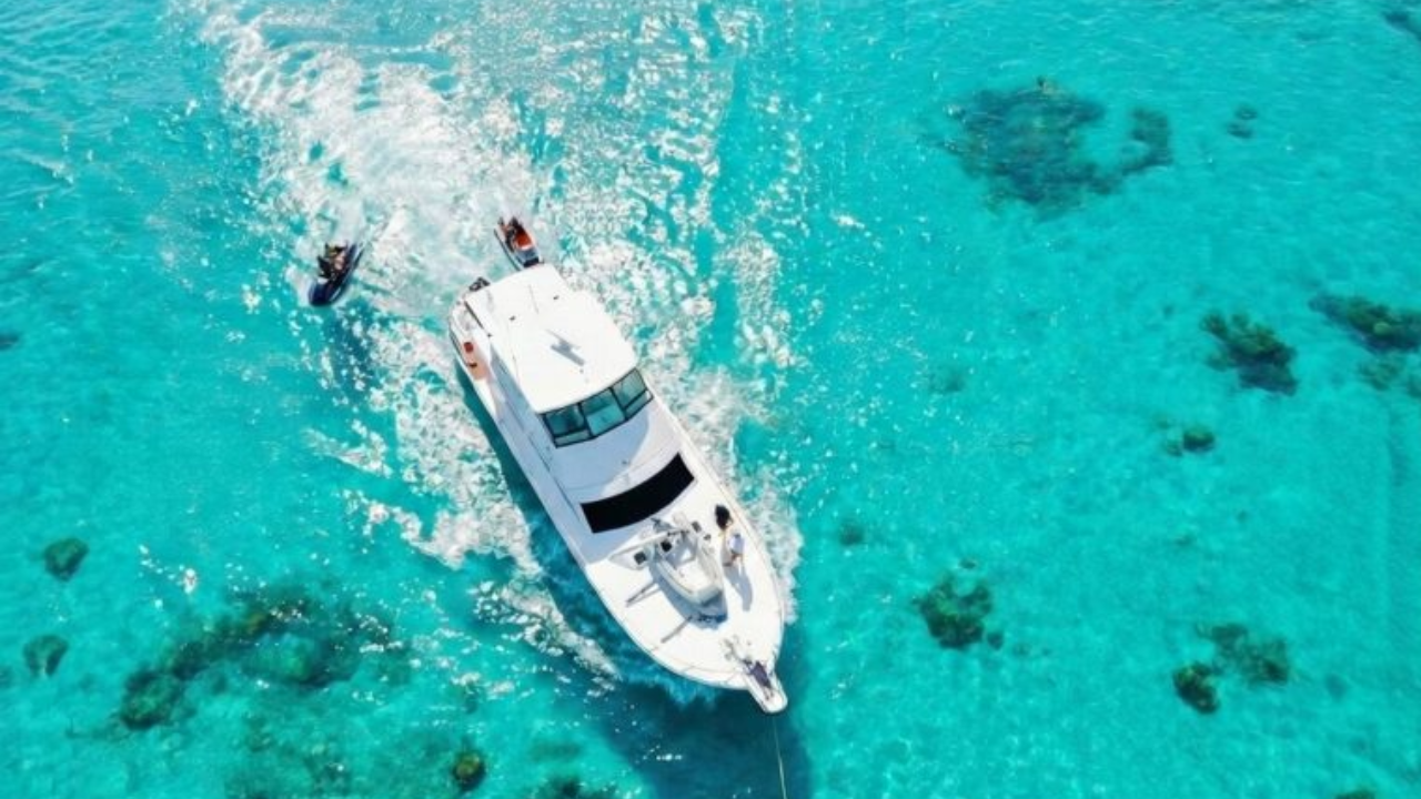 Saona Island Catamaran & Natural Pool Day Trip
