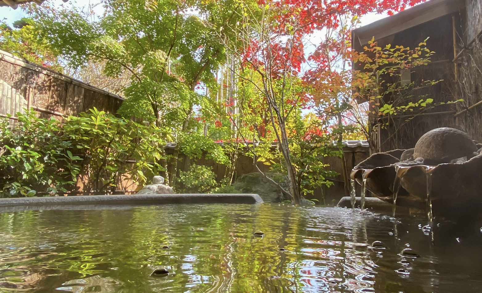 Tokyo: Onsen & Sunset Walk Private Tour – Tattoo-Friendly — Japanese onsen experience photo 5