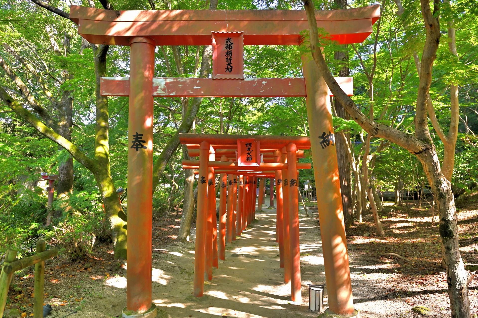 Private Fukuoka Shrine Discovery from Hakata Port