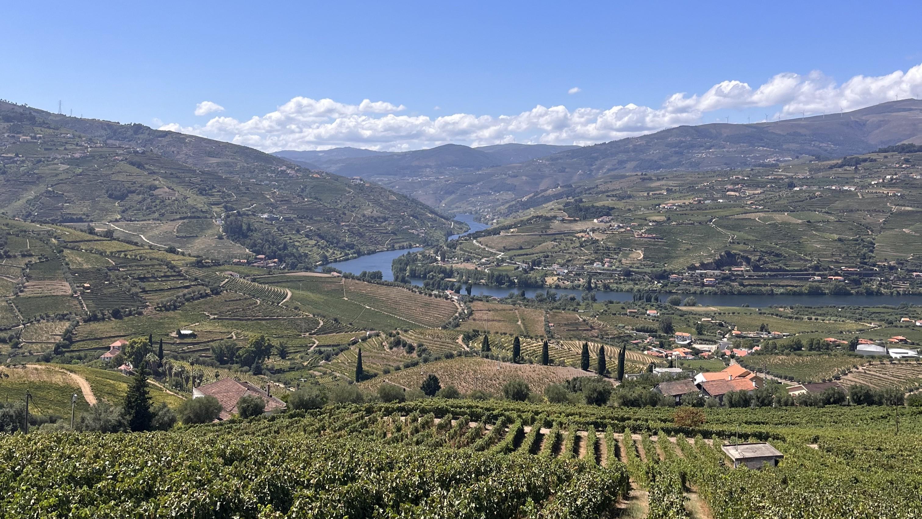 Douro Valley Wine & Boat Experience from Porto