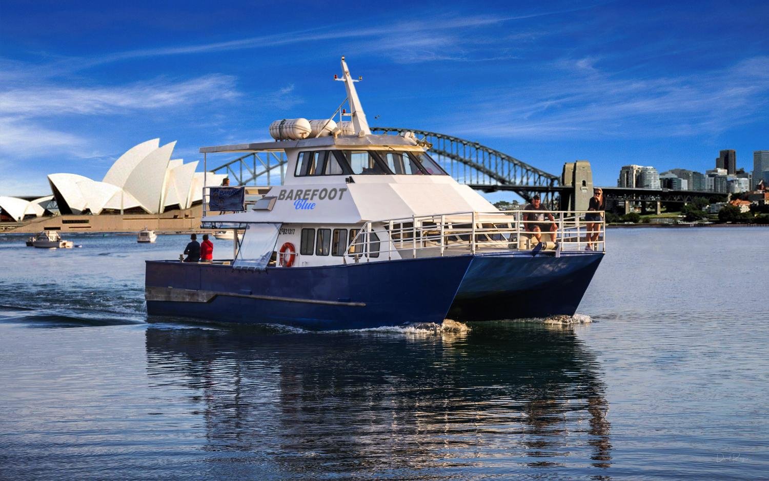 Sydney whale watching cruise — humpback whales off Sydney Harbour Heads — image 7