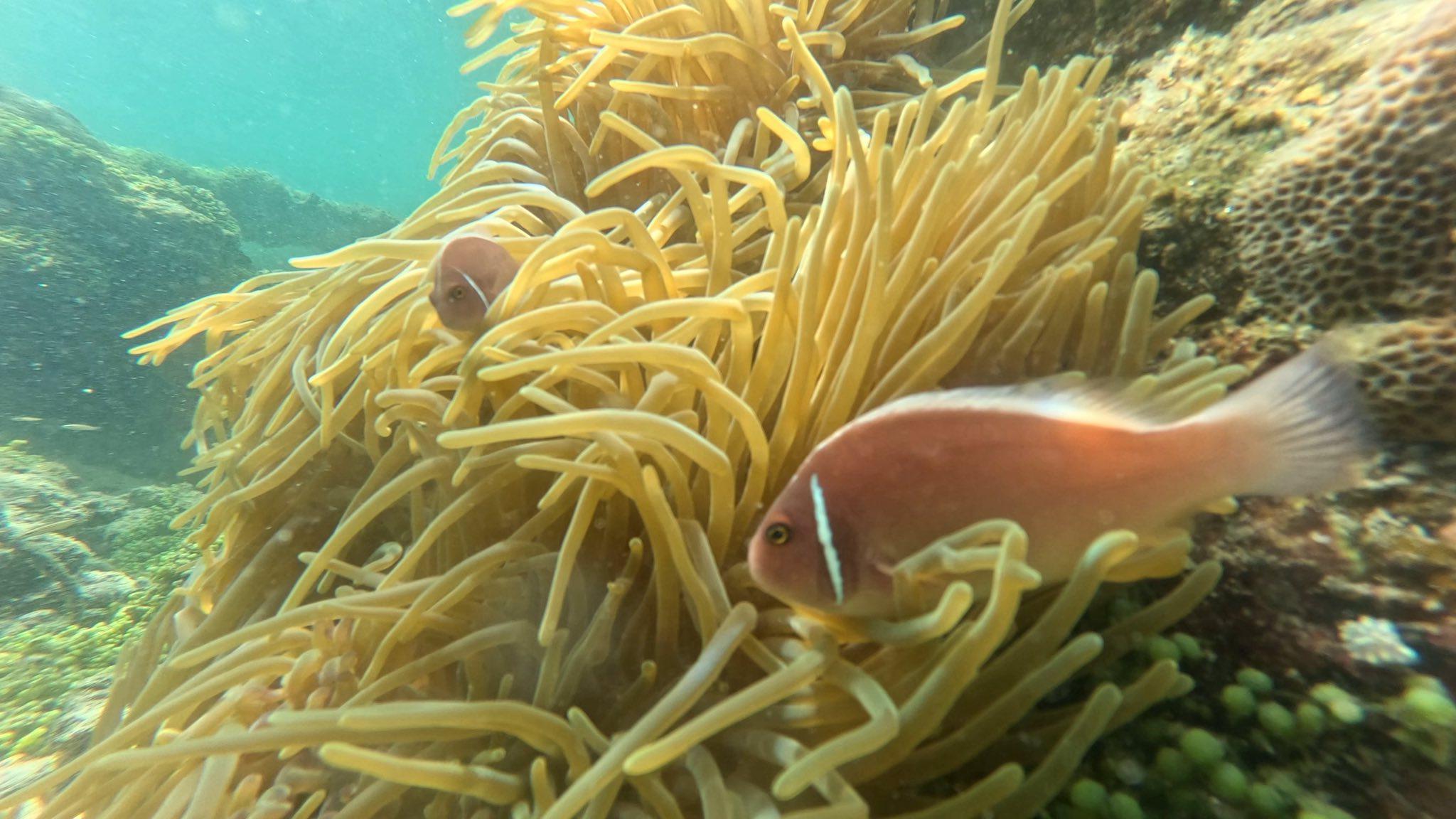 Southern Phu Quoc Island-Hopping Speedboat & Snorkeling Tour