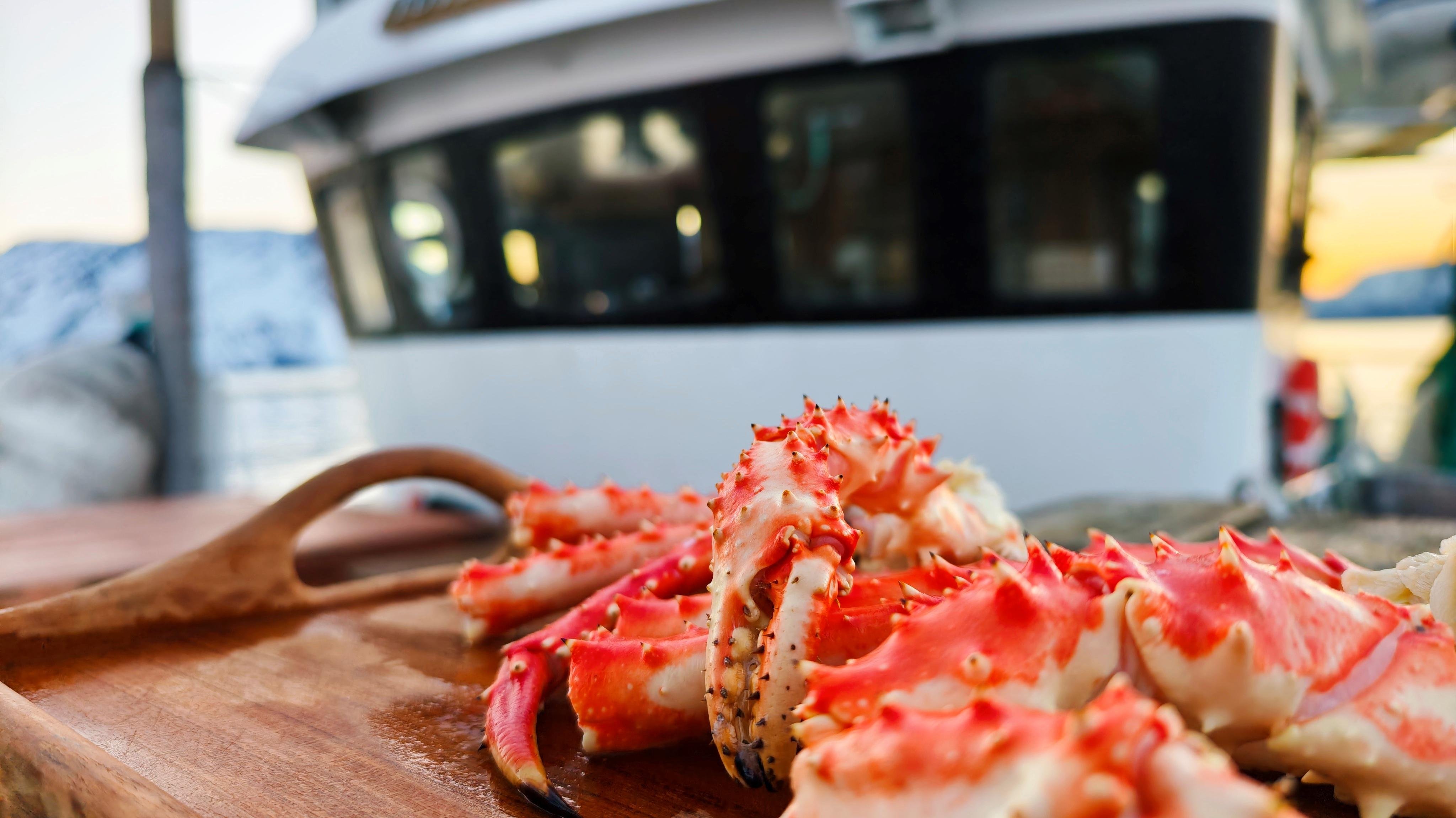 Alta Fjord Coastal Experience with Wildlife & Local Cuisine