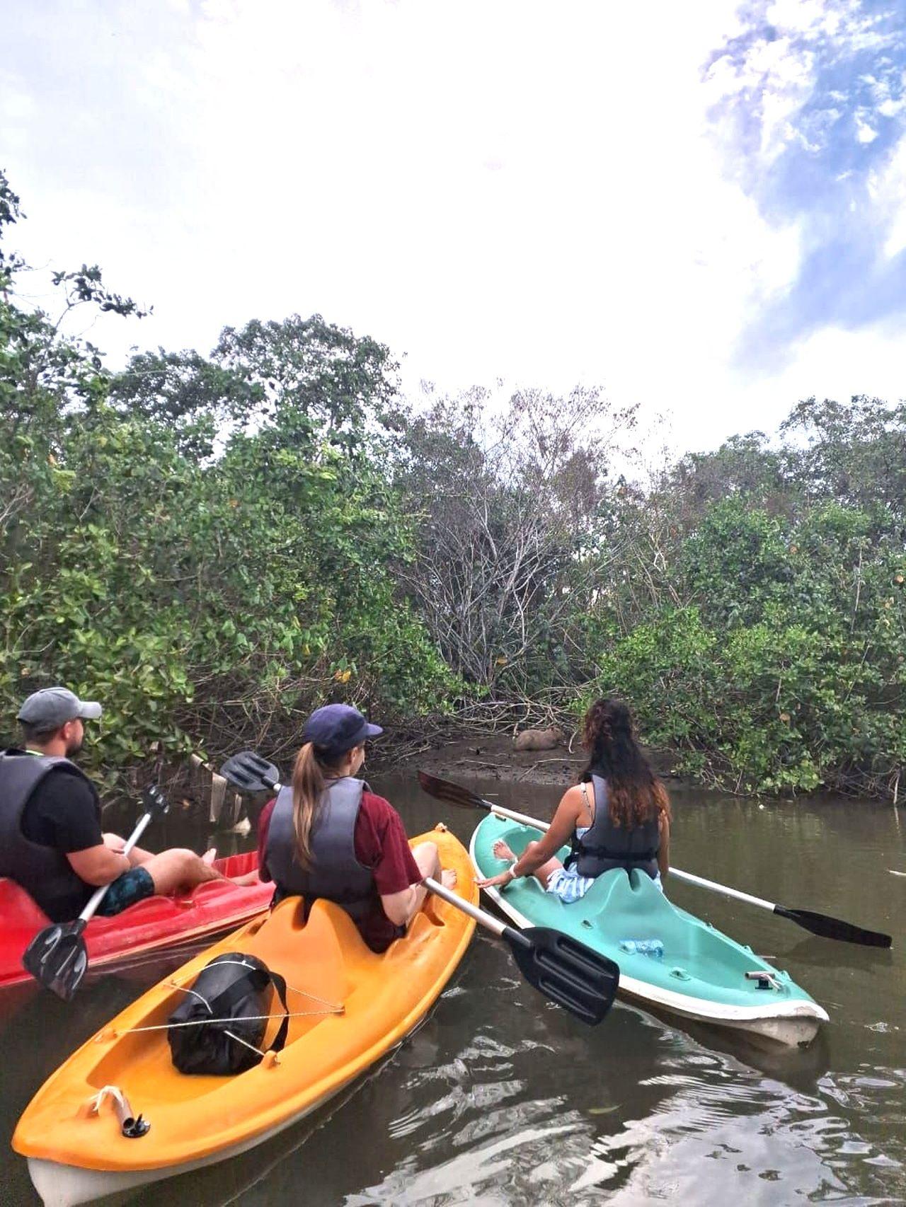 Mangrove Kayak Adventure with Capybara Spotting