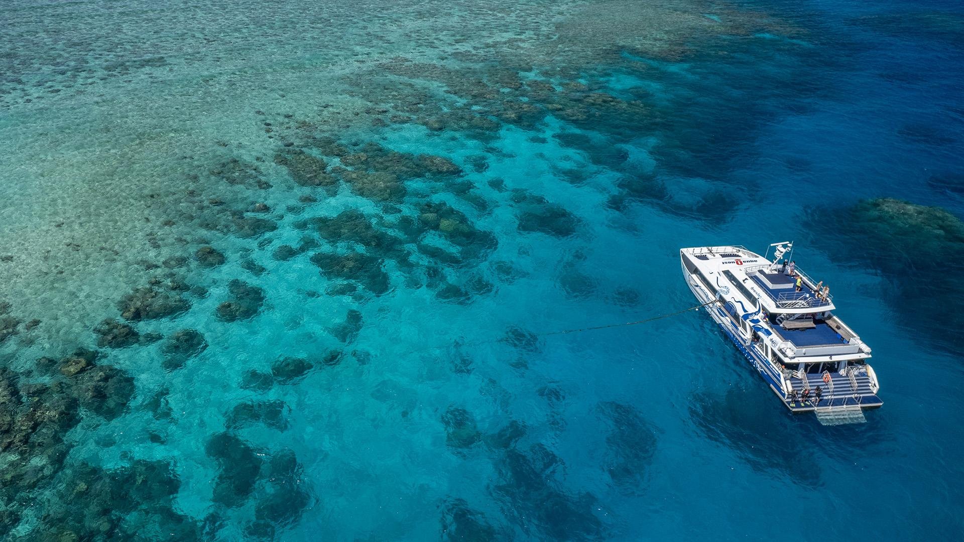 Great Barrier Reef Premium Snorkel & Dive Adventure