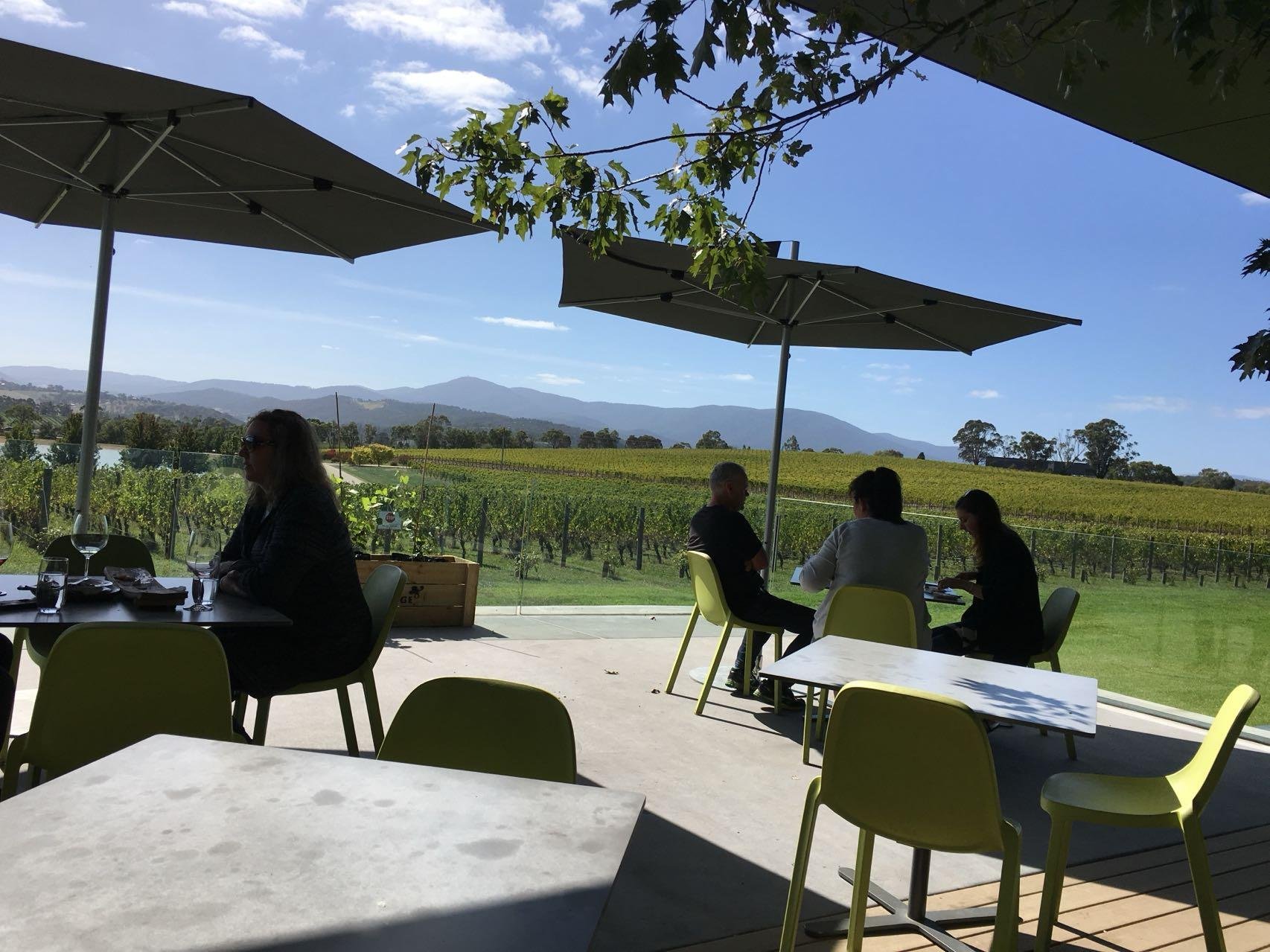 Yarra Valley Wine Region Private Day Tour
