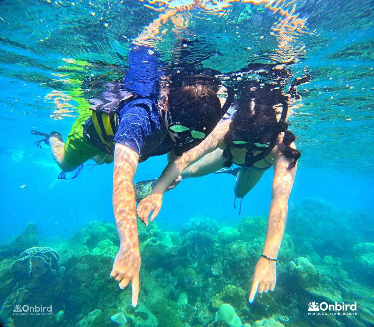 Beginner Scuba Diving Adventure