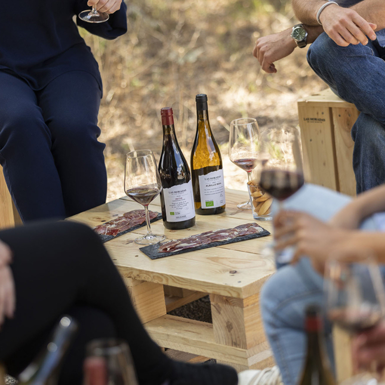 Las Moradas de San Martín Winery Experience