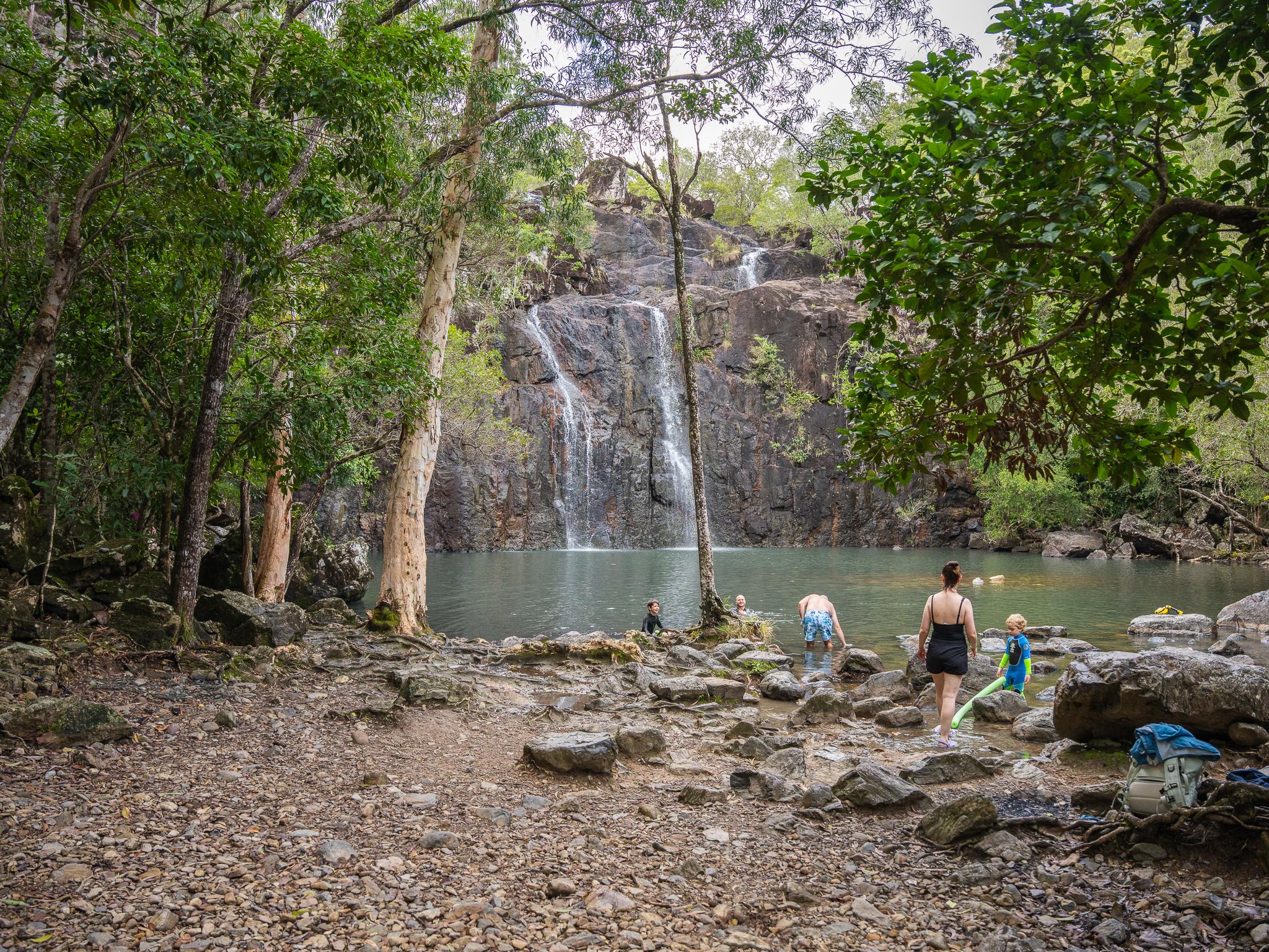 Cedar Creek Falls Eco Tour from Airlie Beach
