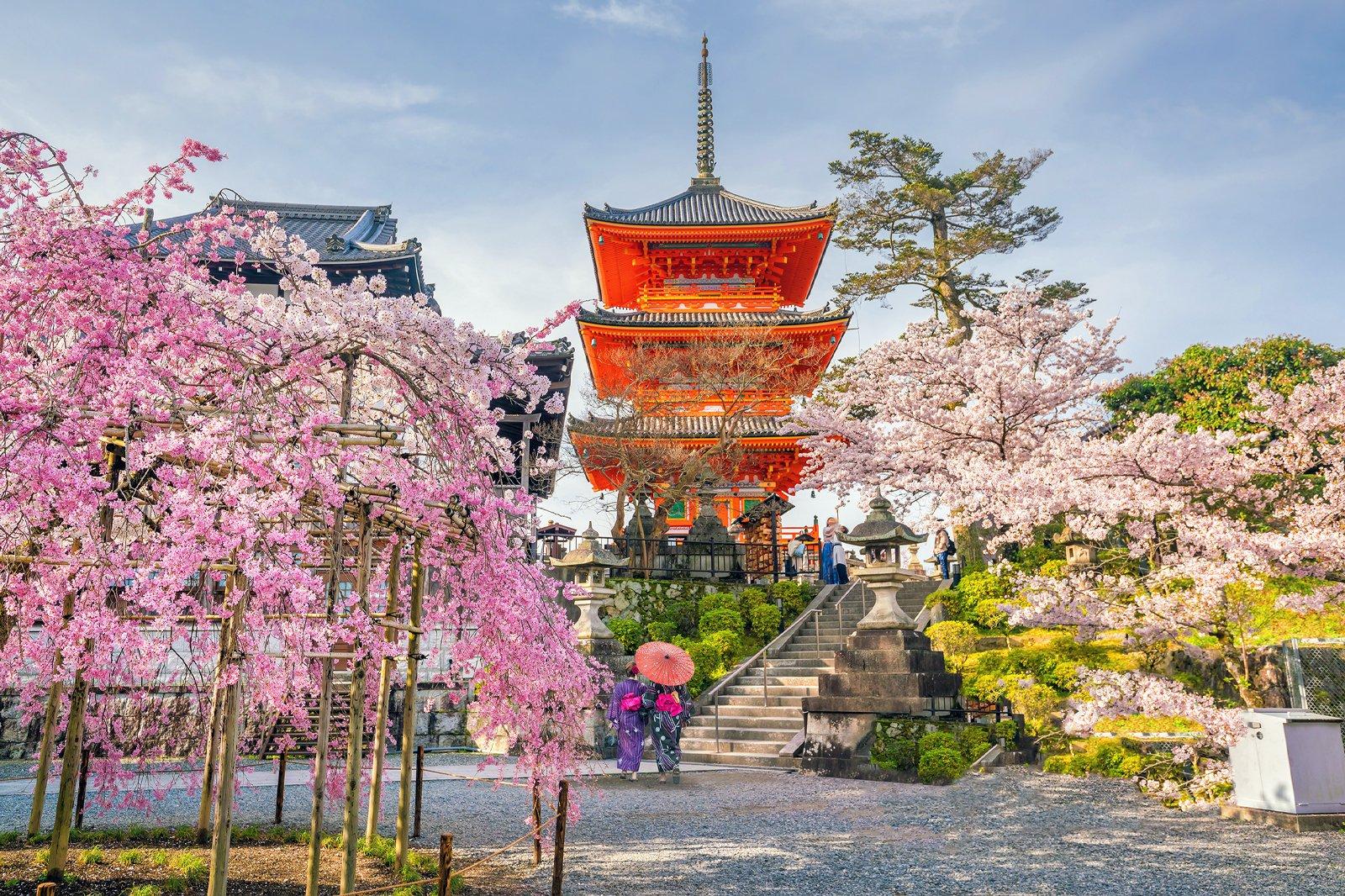 Kyoto Private Full-Day Tour with Luxury Vehicle & Expert Guide