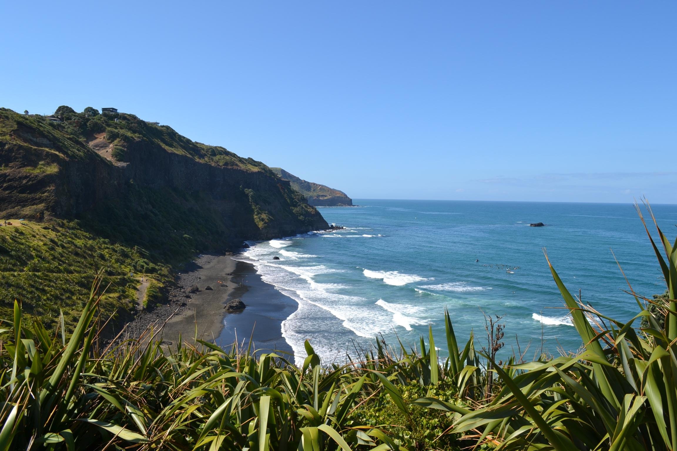 Auckland West Coast & Piha Beach Private Tour
