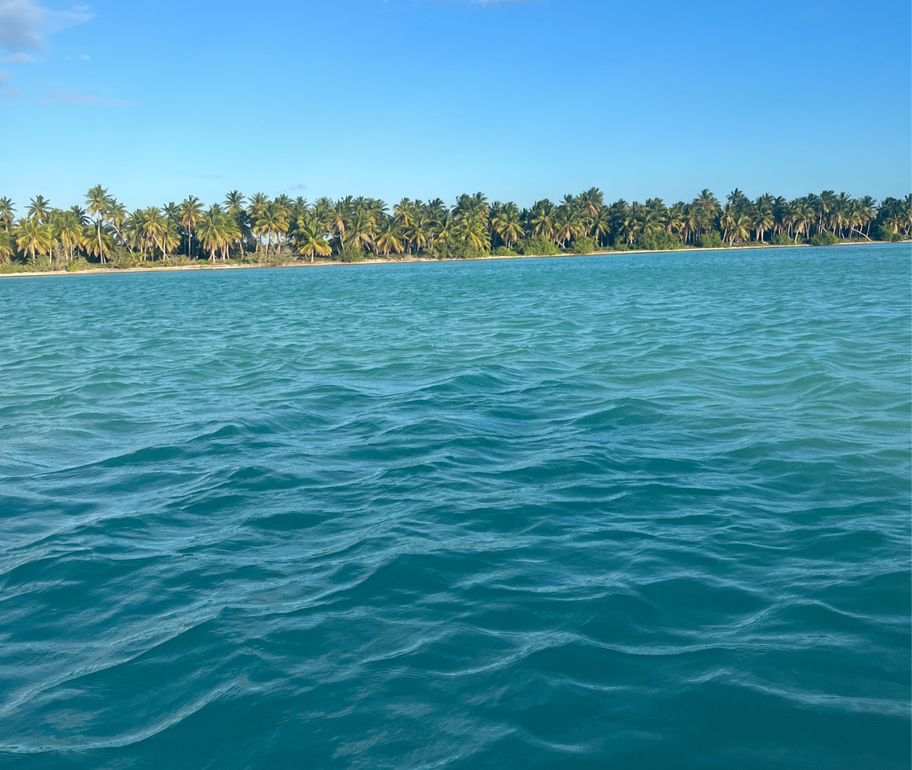 Punta Cana: Saona Island Escape by Catamaran with Lunch & Open Bar