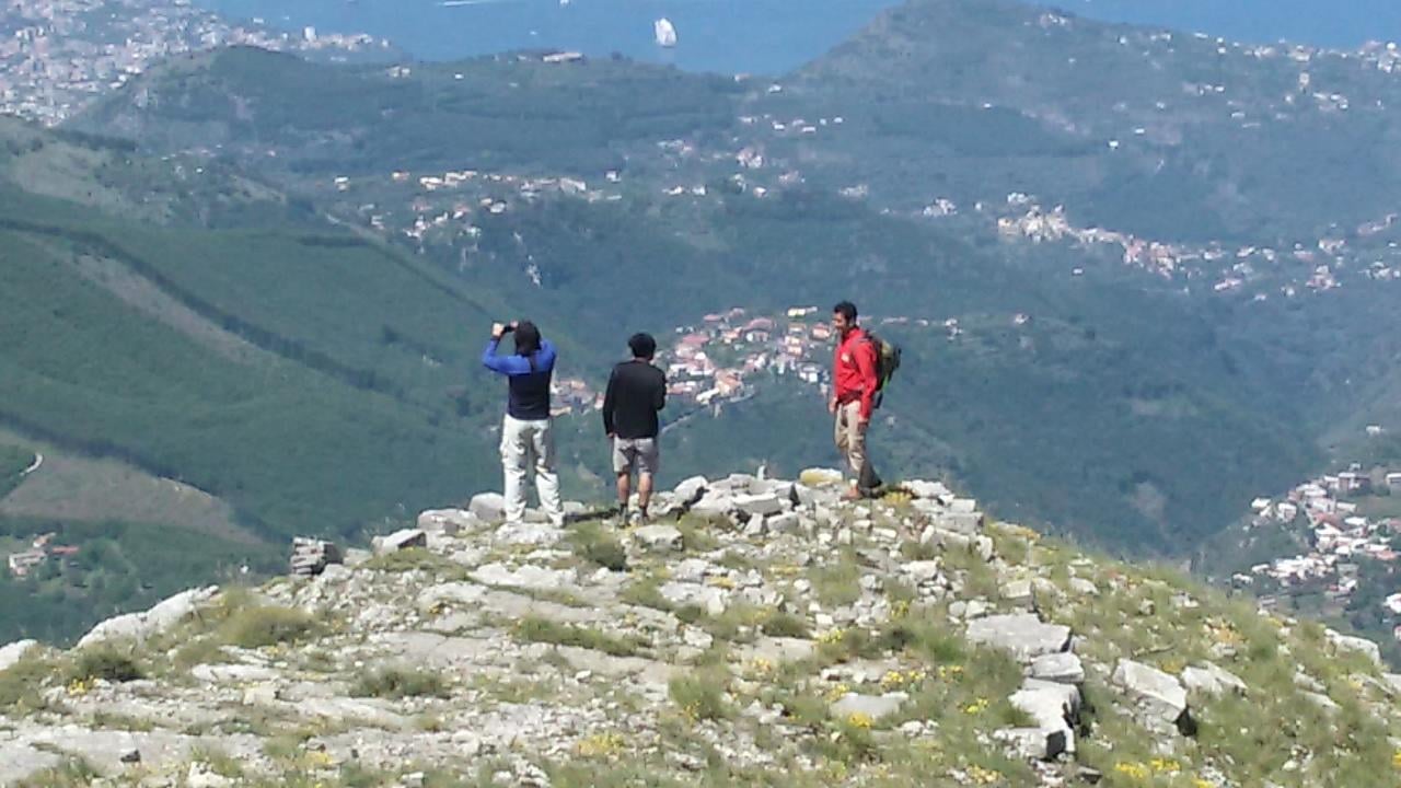 Path of the Gods Guided Hike with Transfer from Sorrento
