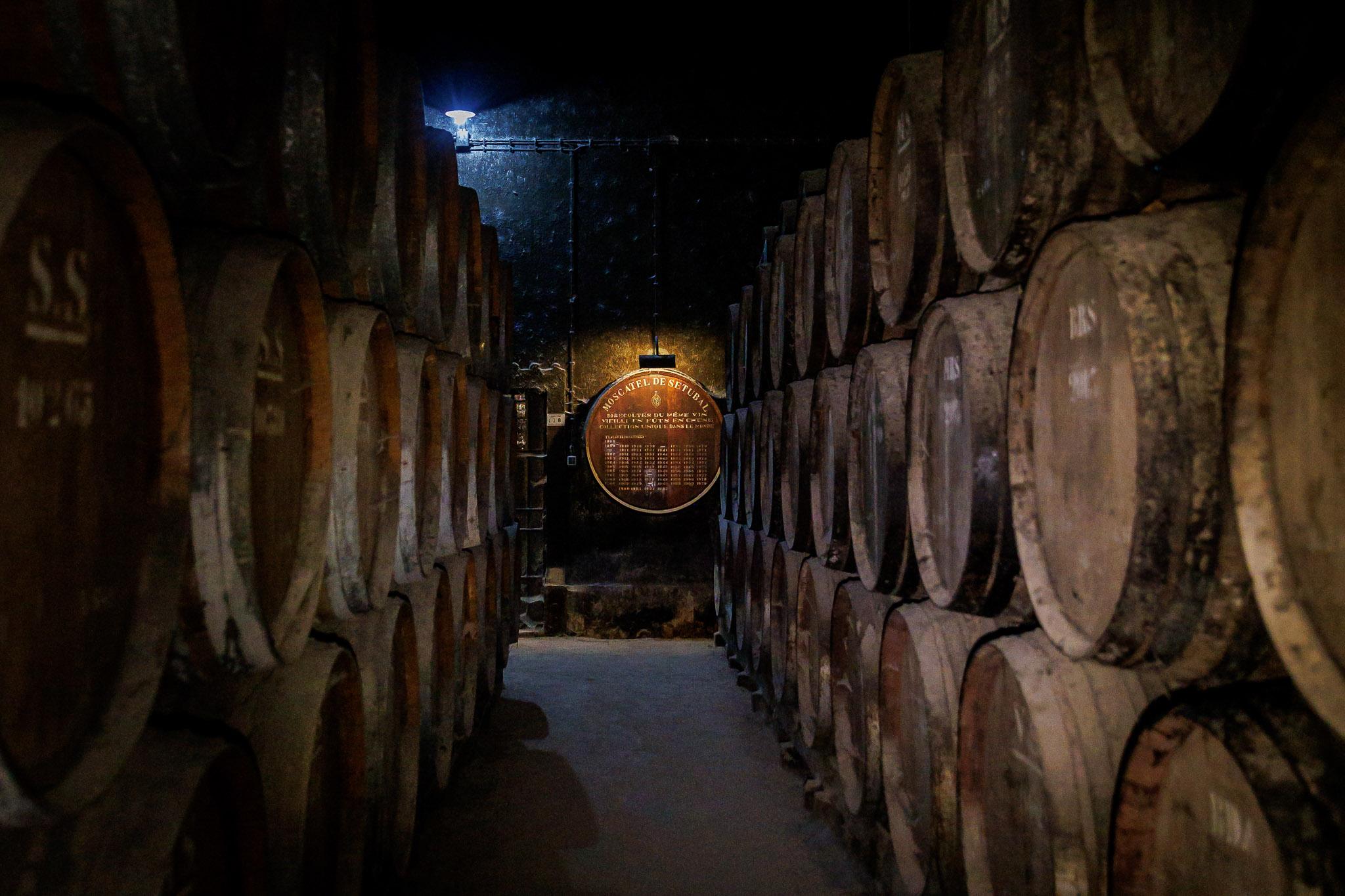 wine tour in Azeitão — photo 11