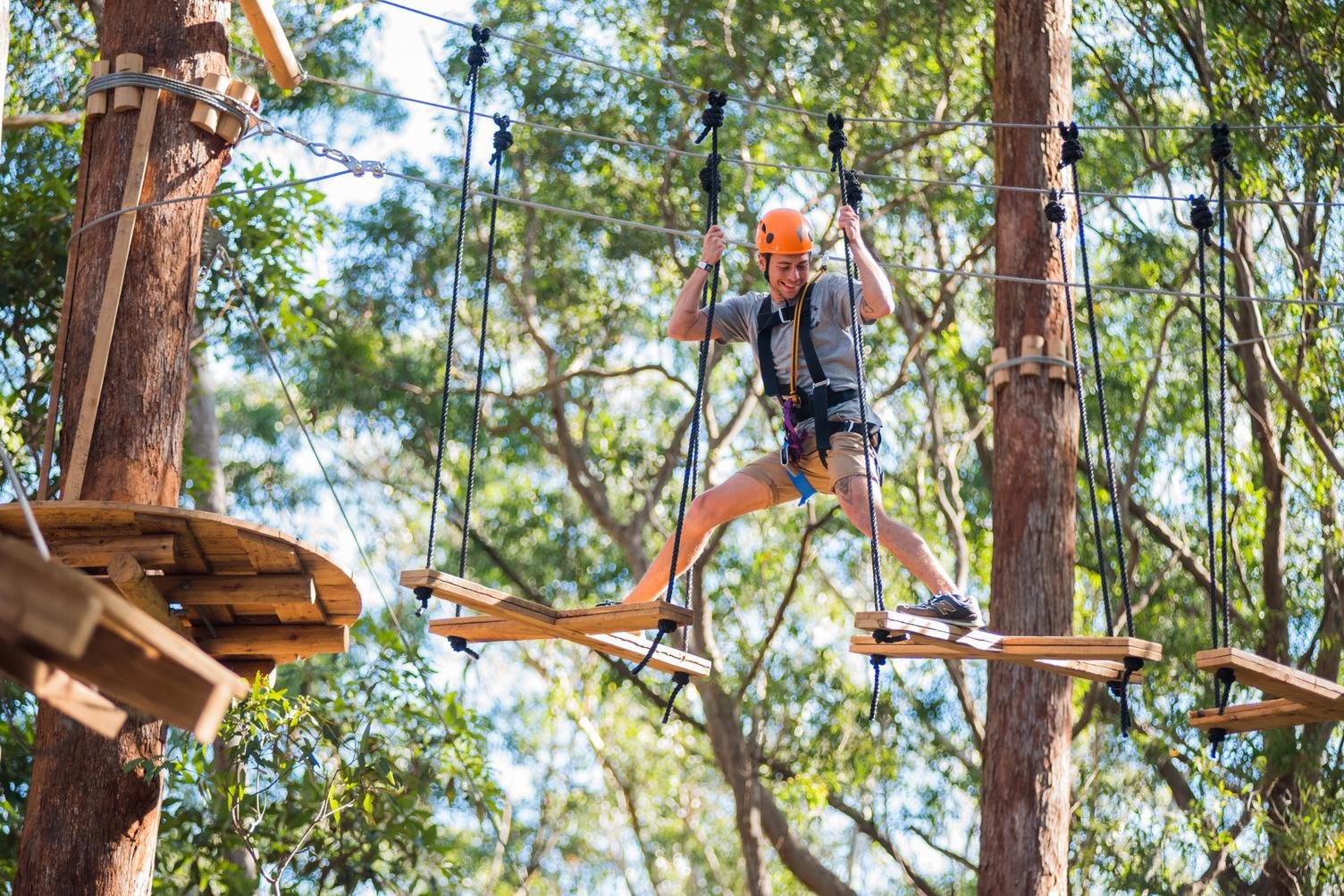 Treetops Adventure Tree Ropes Course