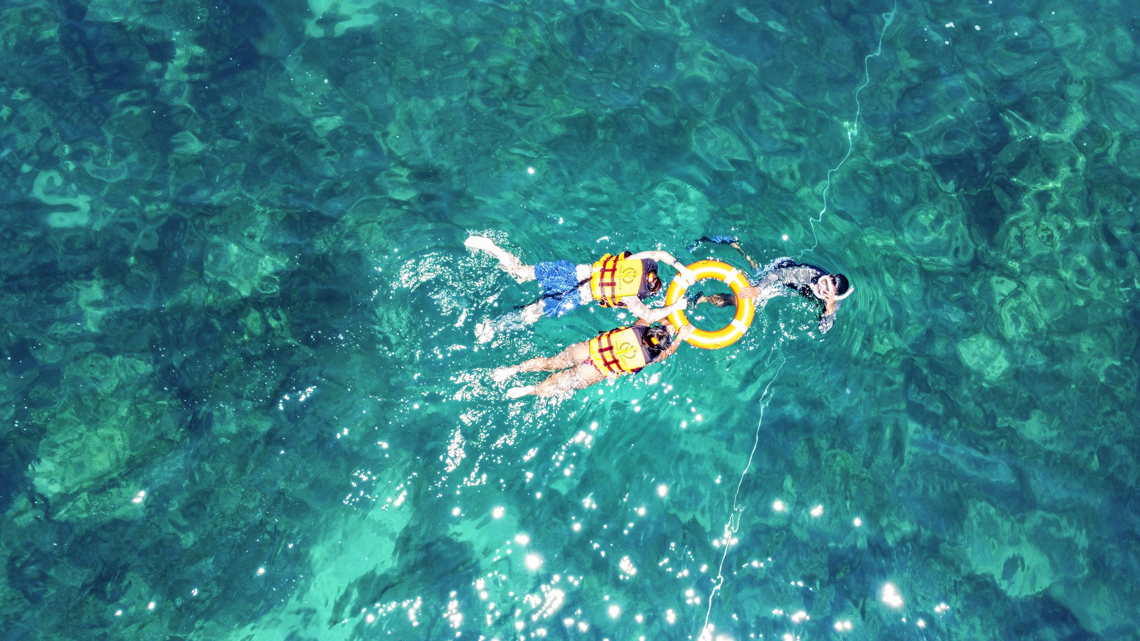 Phuket Speedboat Day Trip: Maya Bay, Phi Phi & Bamboo Island with Buffet Lunch