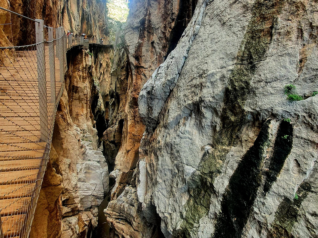 Caminito del Rey guided tour from Málaga — cliffside walkway above the Gaitanes Gorge, Andalusia — image 20