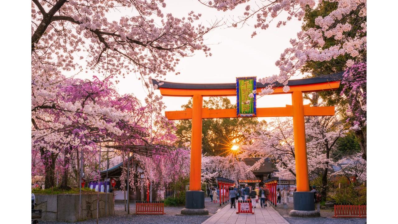 Kyoto: Privat heldagstur til høydepunktene med bil og guide