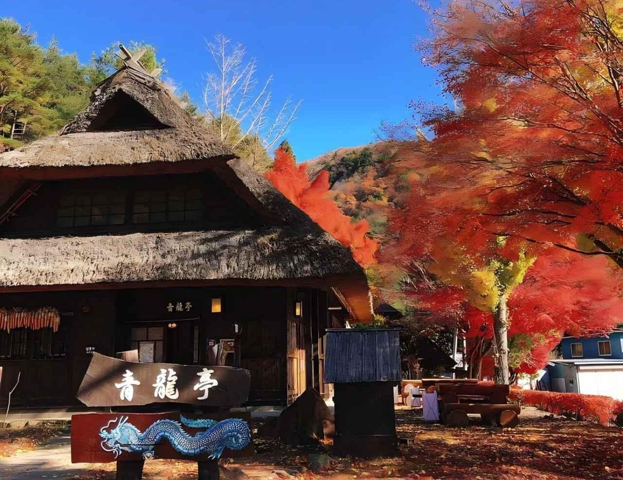 Mt Fuji day trip from Tokyo — image 53