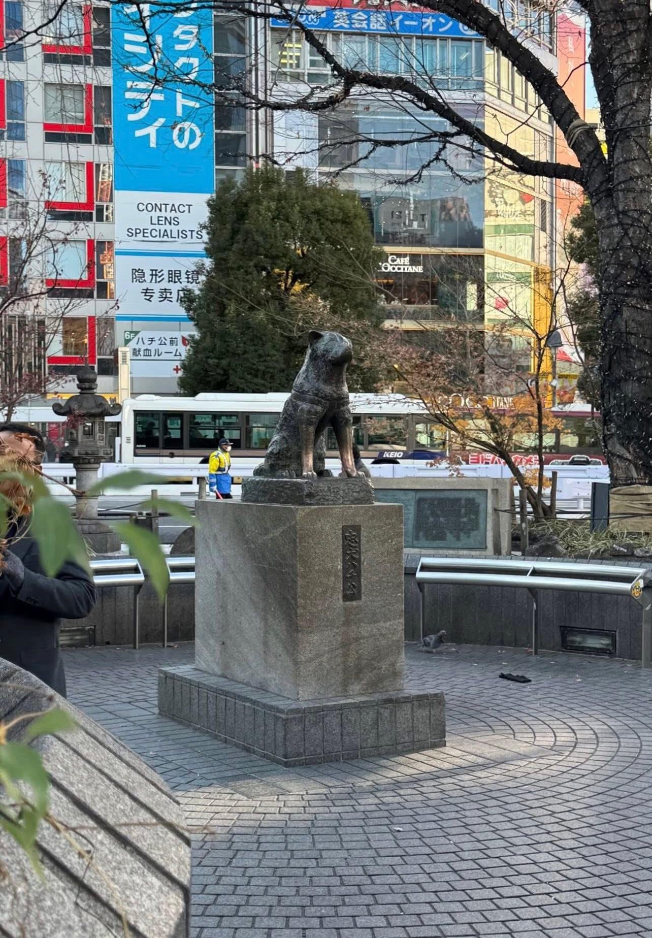 Tokyo Private Full-Day City Tour — Custom Itinerary with English Guide