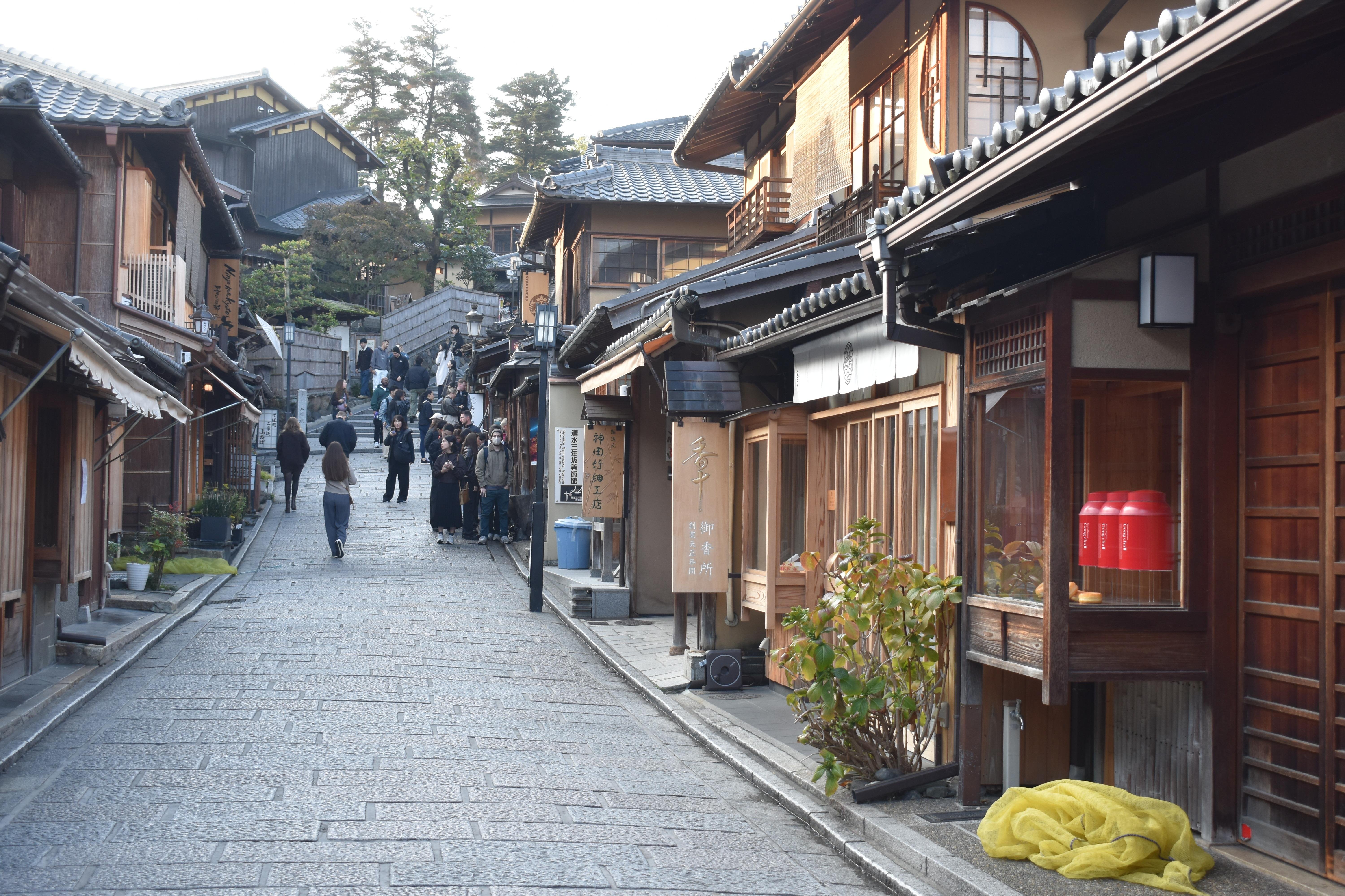 Kyoto Gion & Pontocho Cultural Walking Tour
