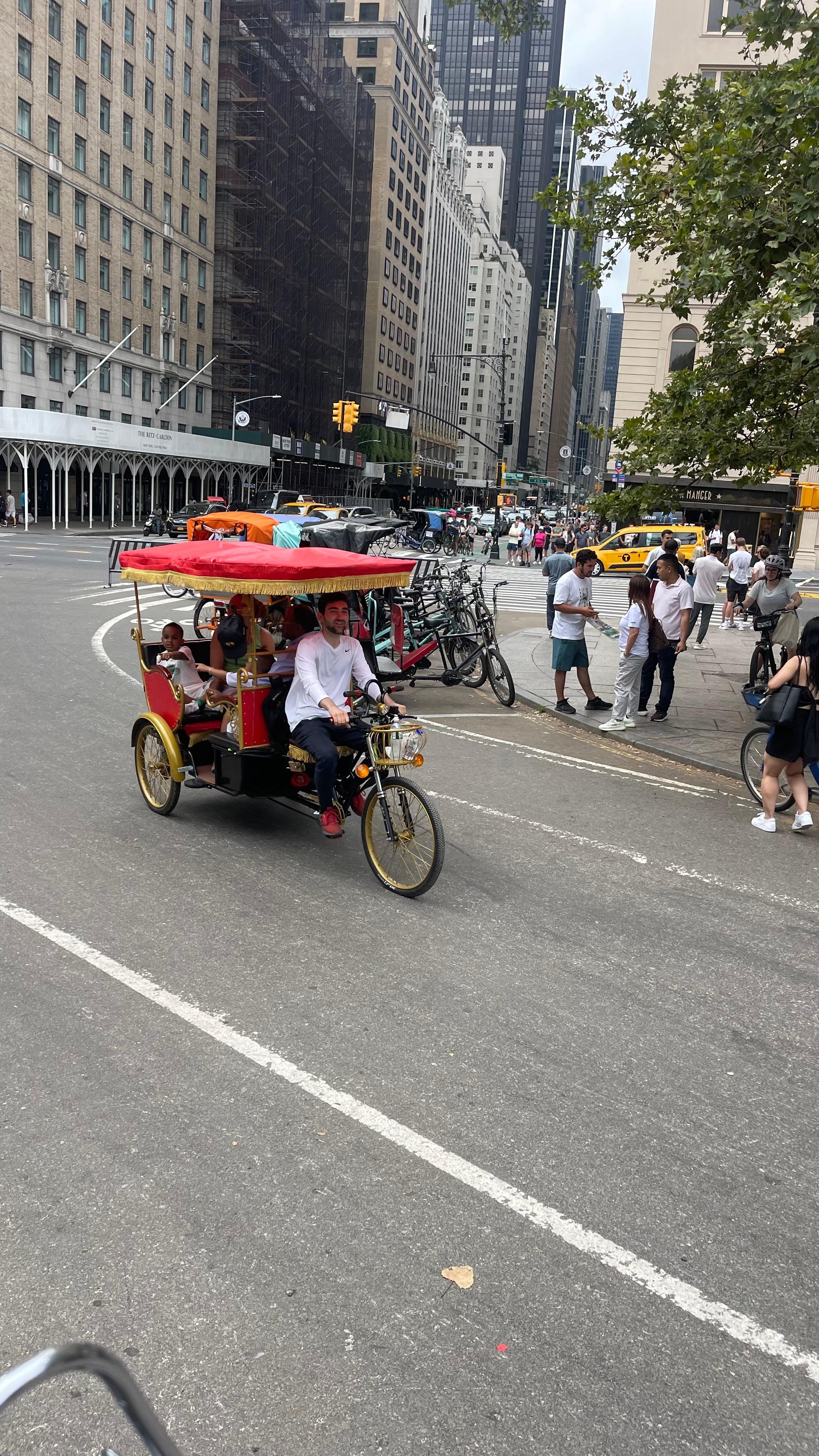 Central Park Exploration by Pedicab or Carriage