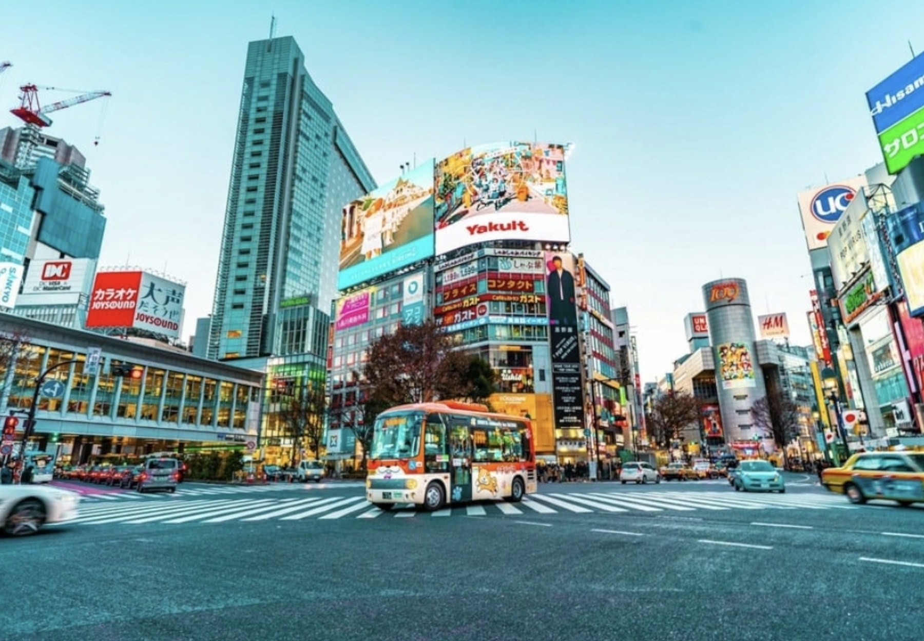 Tokyo Full-Day Private Guided Tour with Hotel Transfers