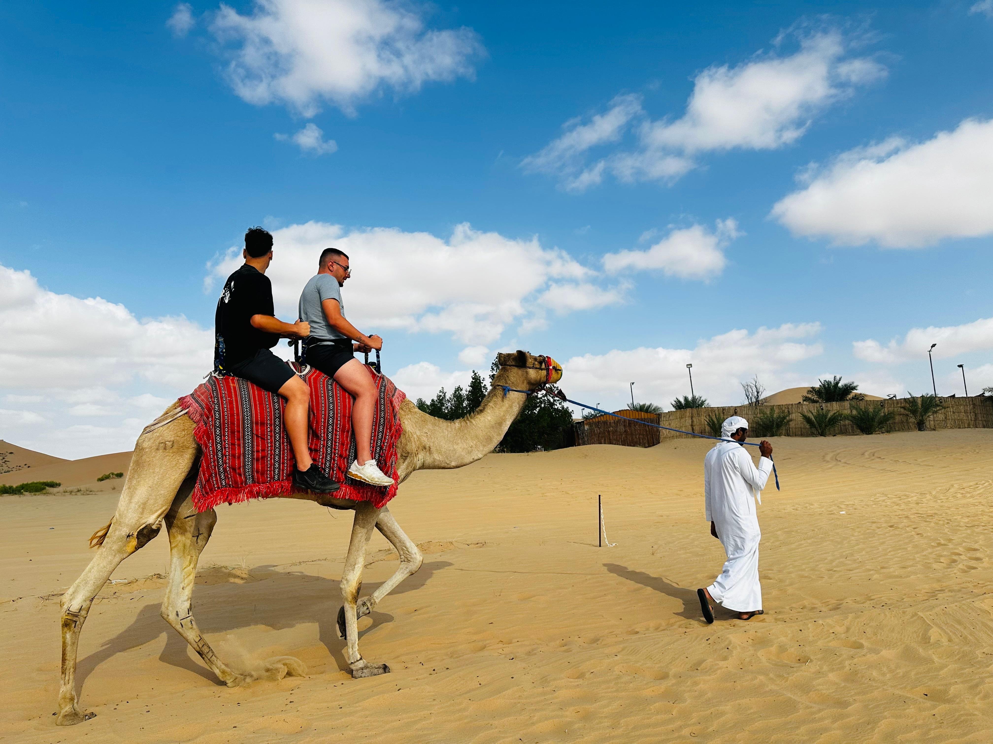 Abu Dhabi Evening Desert Safari with BBQ & Live Entertainment