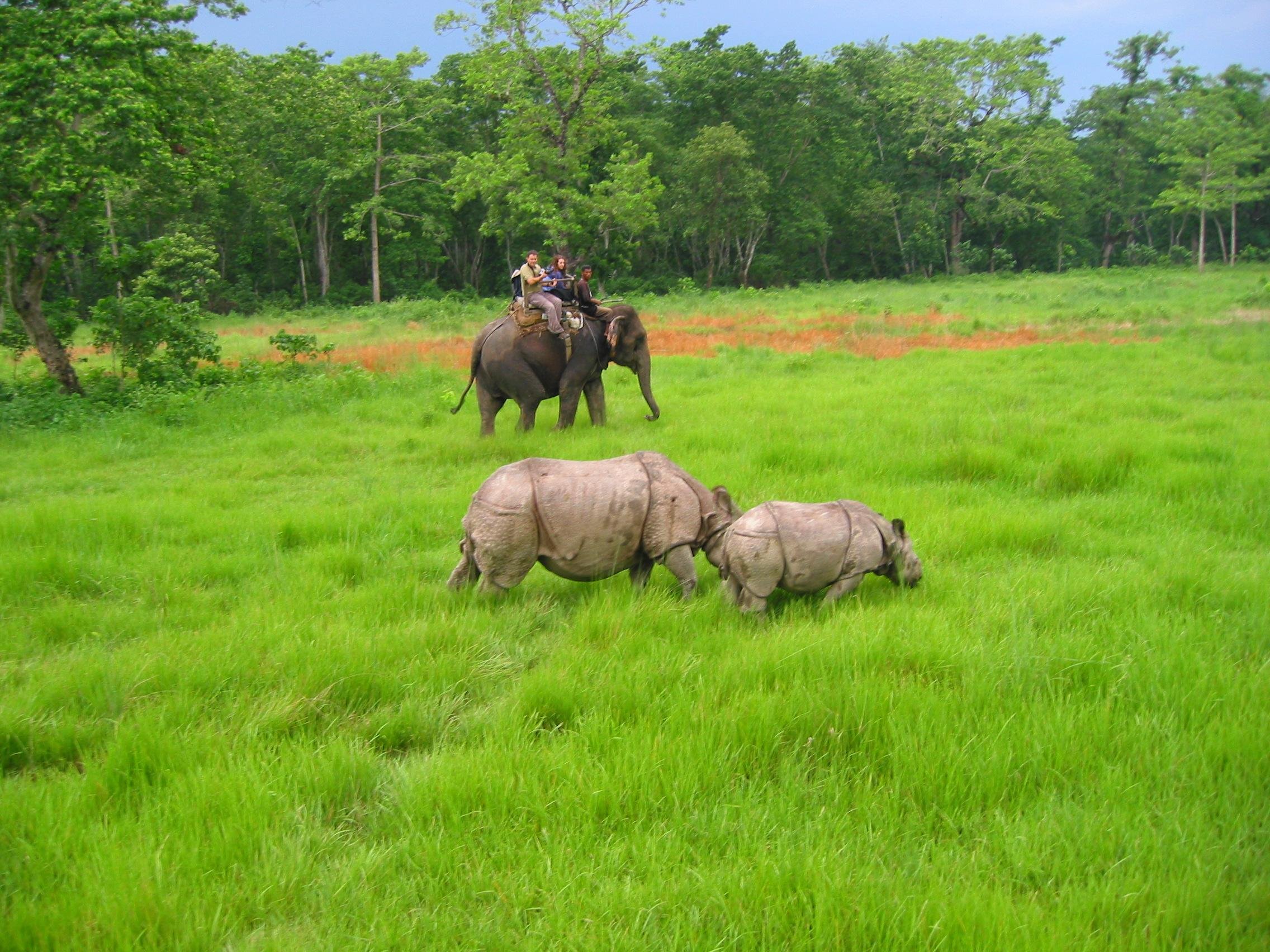 3-Day All-Inclusive Chitwan National Park Safari