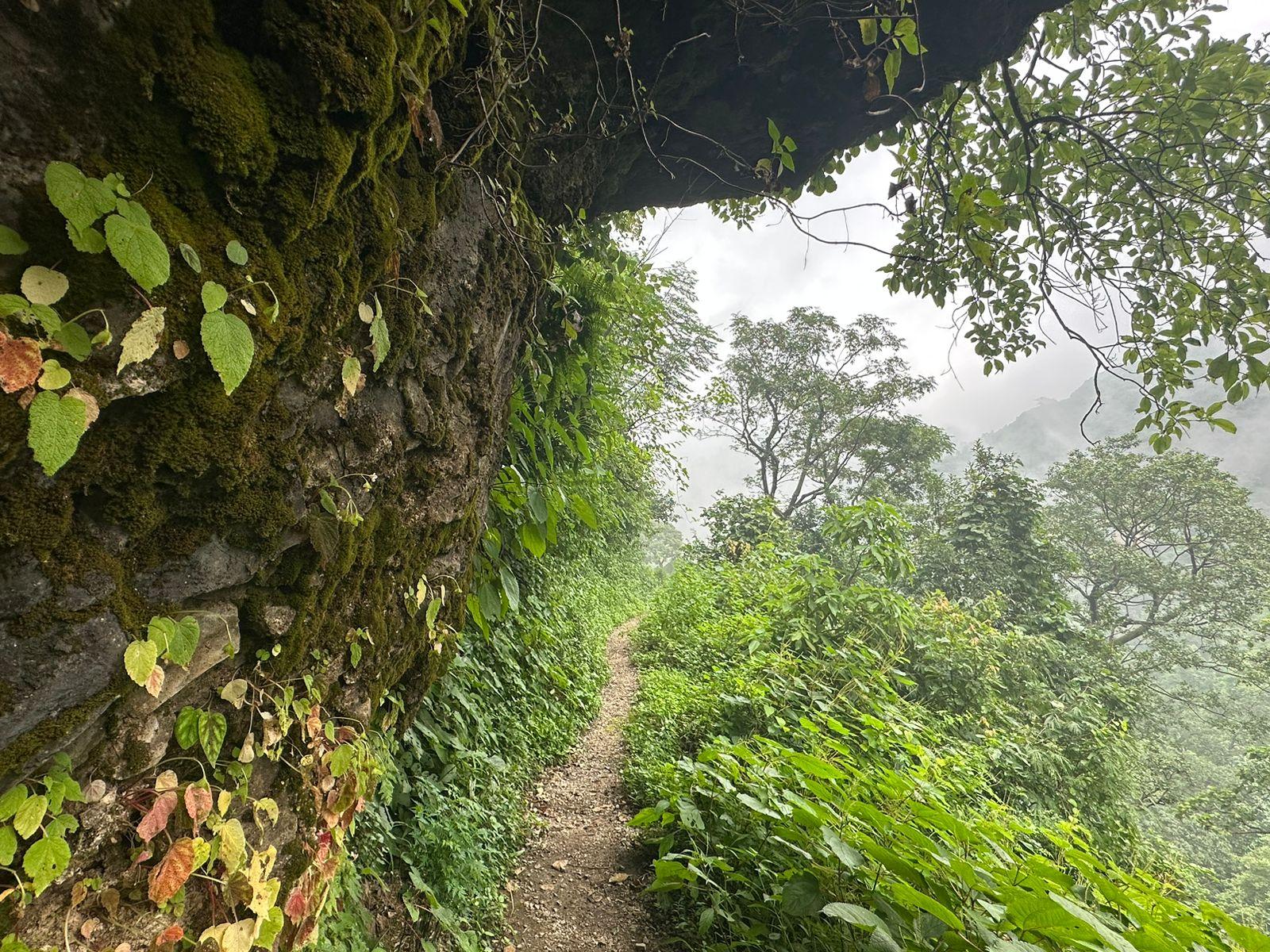 Kunjapuri Himalayan Sunrise Trek & Waterfall Hike