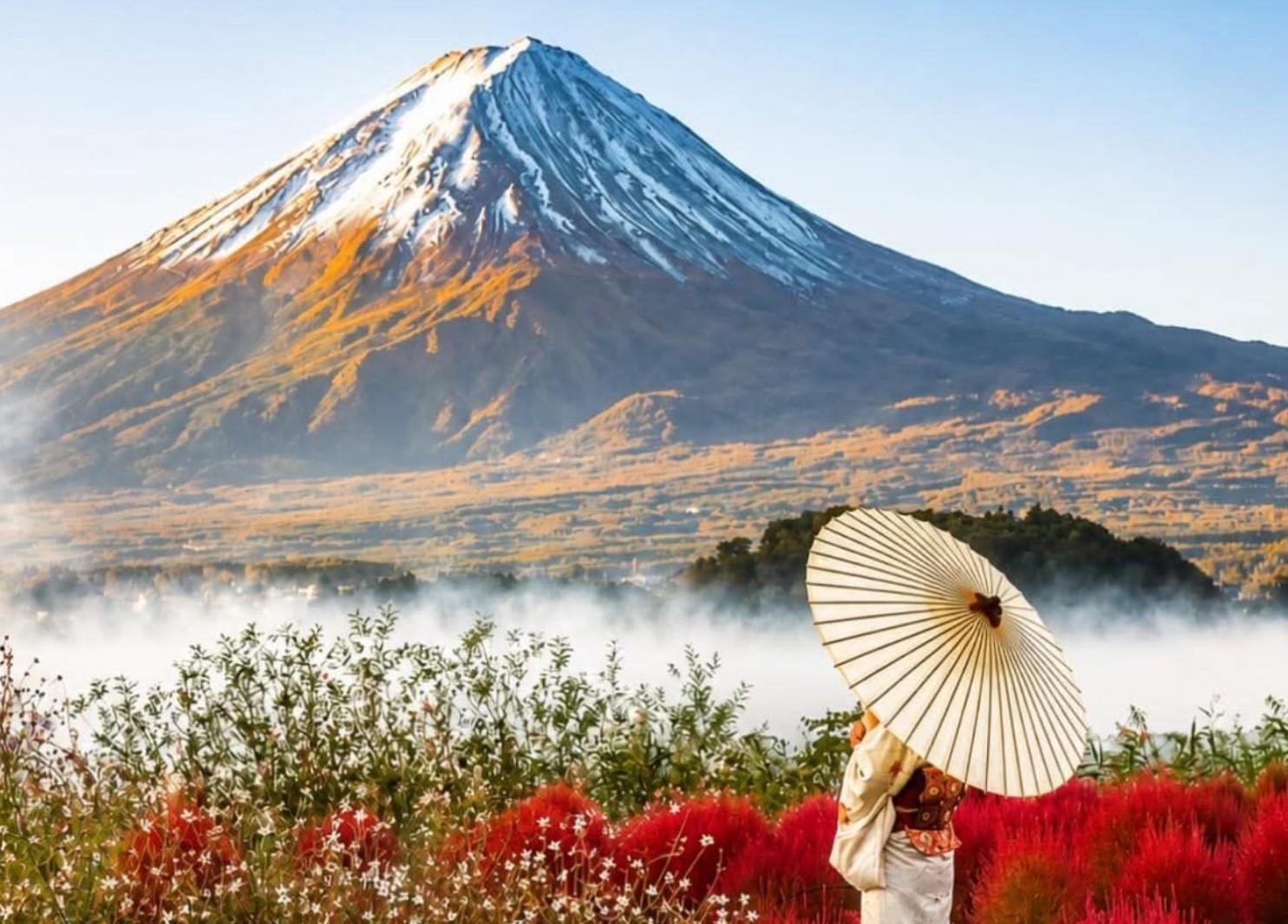 Custom Mt. Fuji & Hakone Private Full-Day Tour from Tokyo