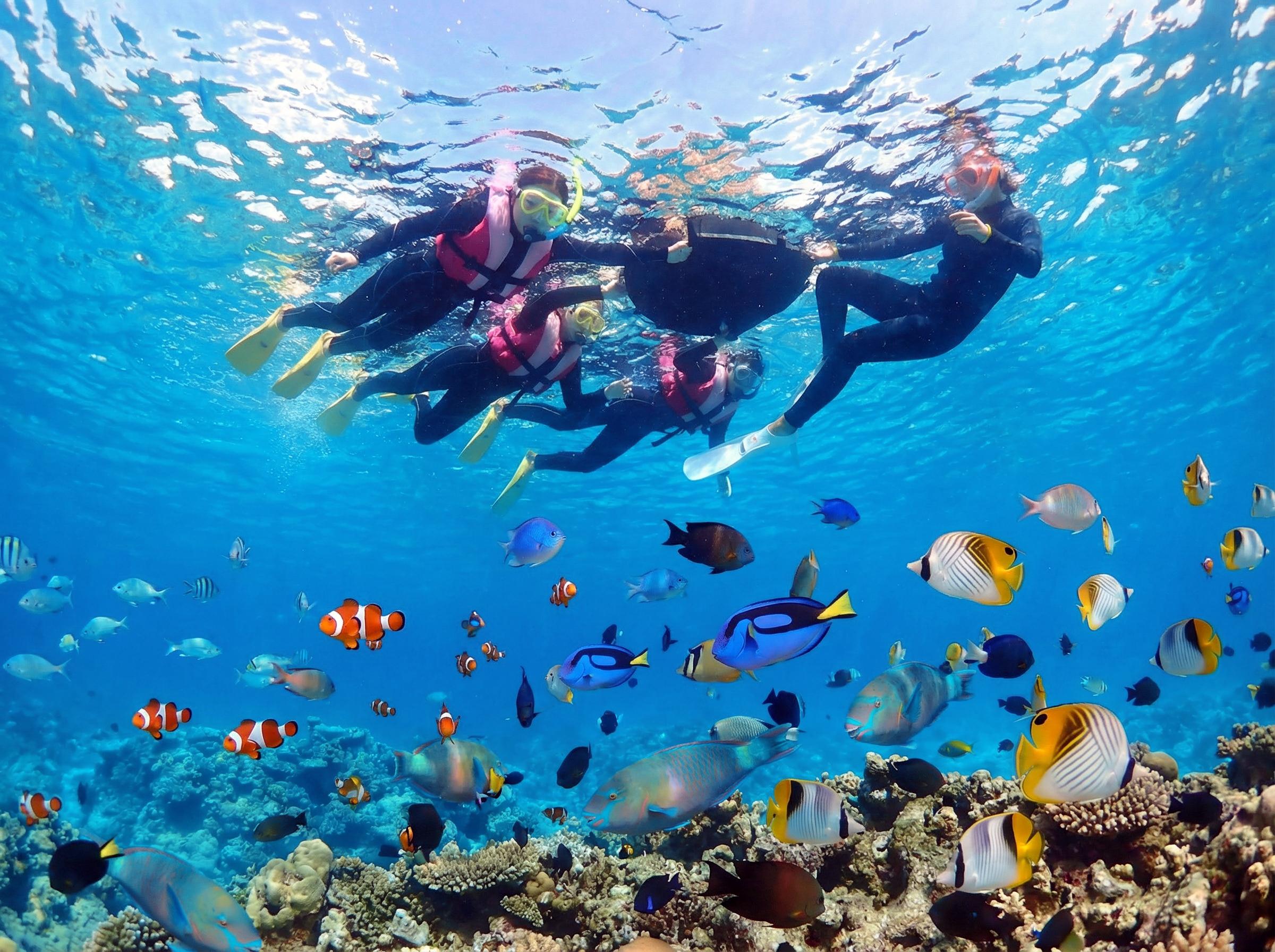 【Okinawa BlueCave】 Boat Snorkeling in Onna | 8 Free Perks