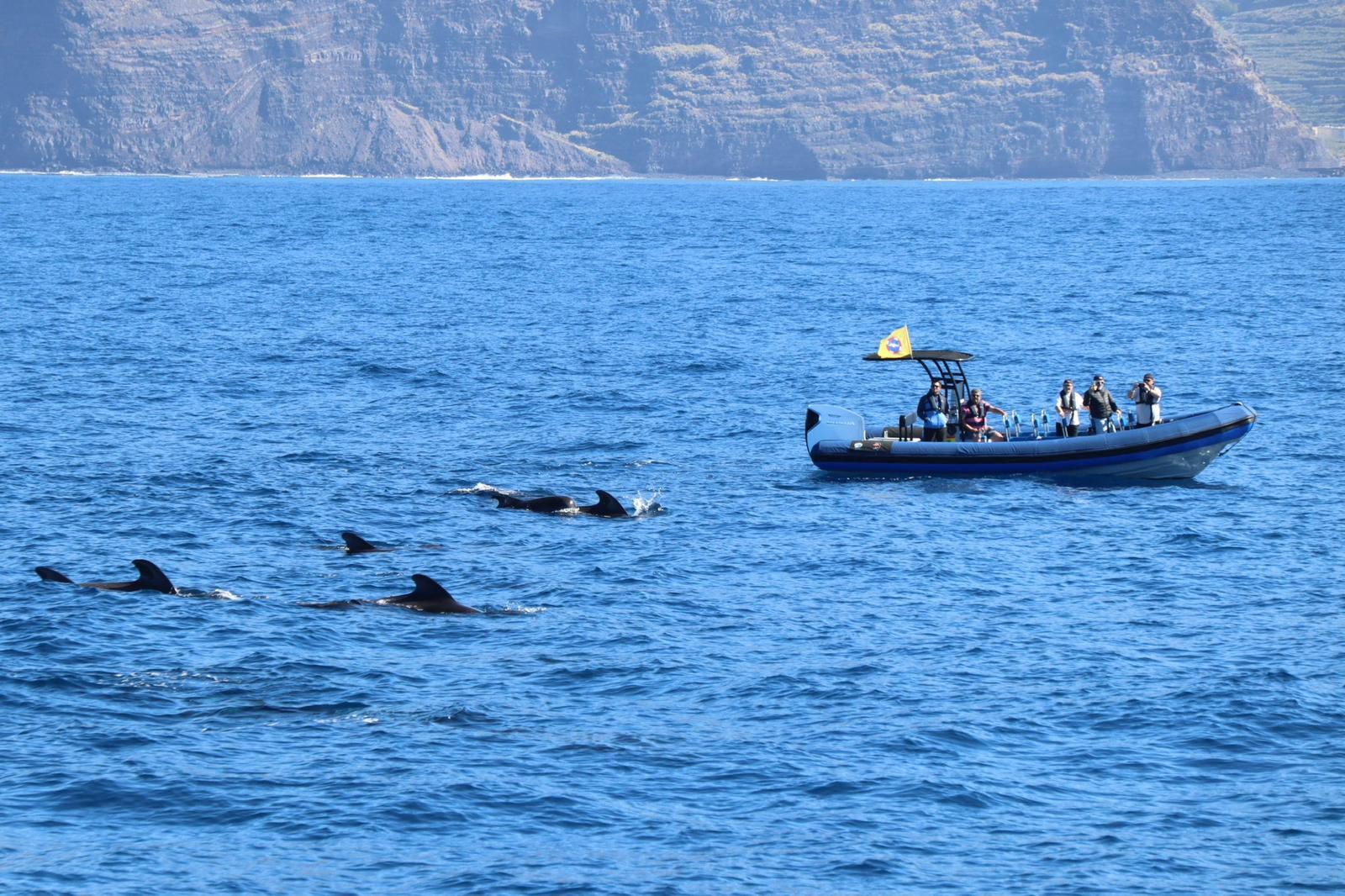 La Palma Coastal Voyage with Whale Watching
