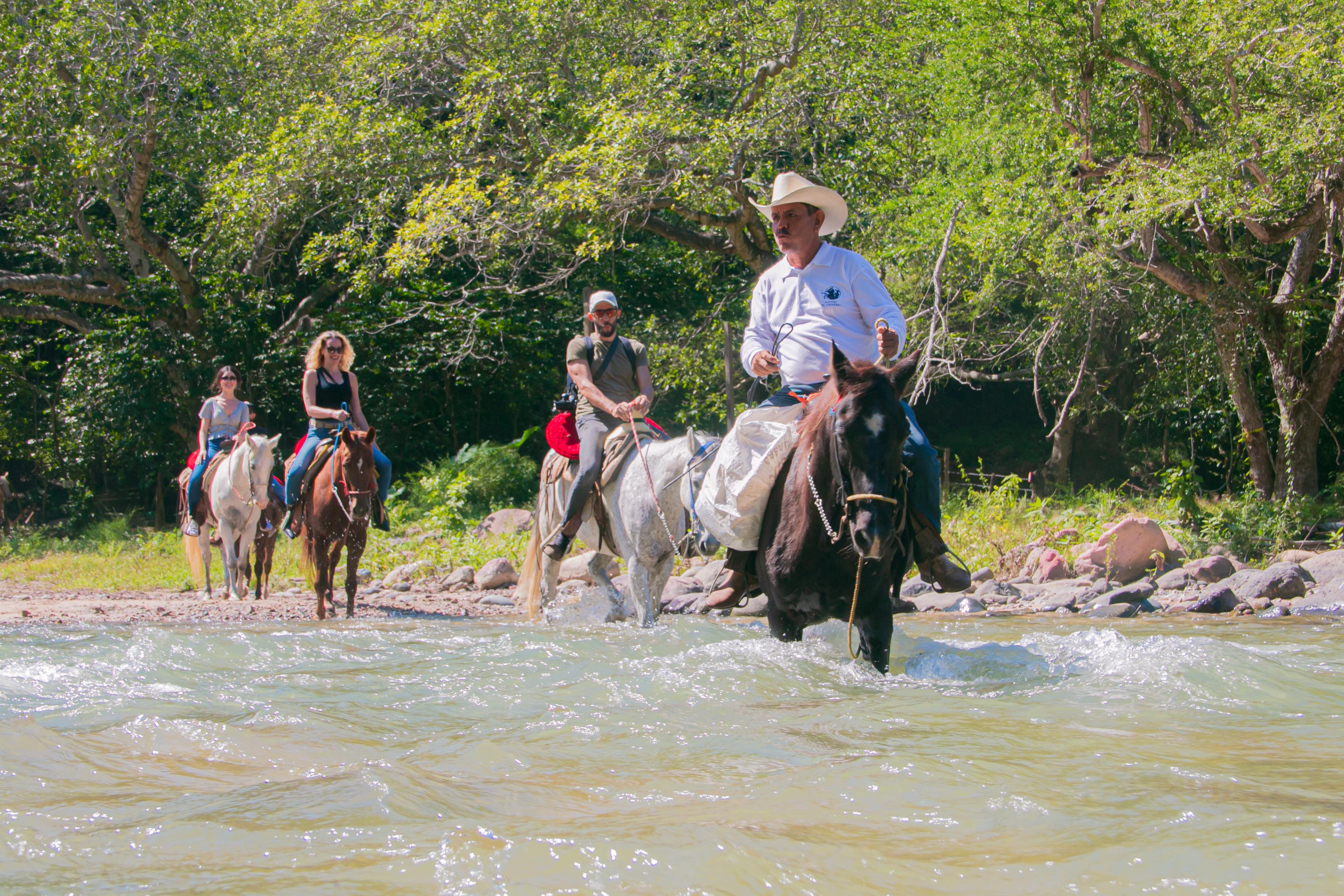 Mountain Waterfall Horseback Adventure